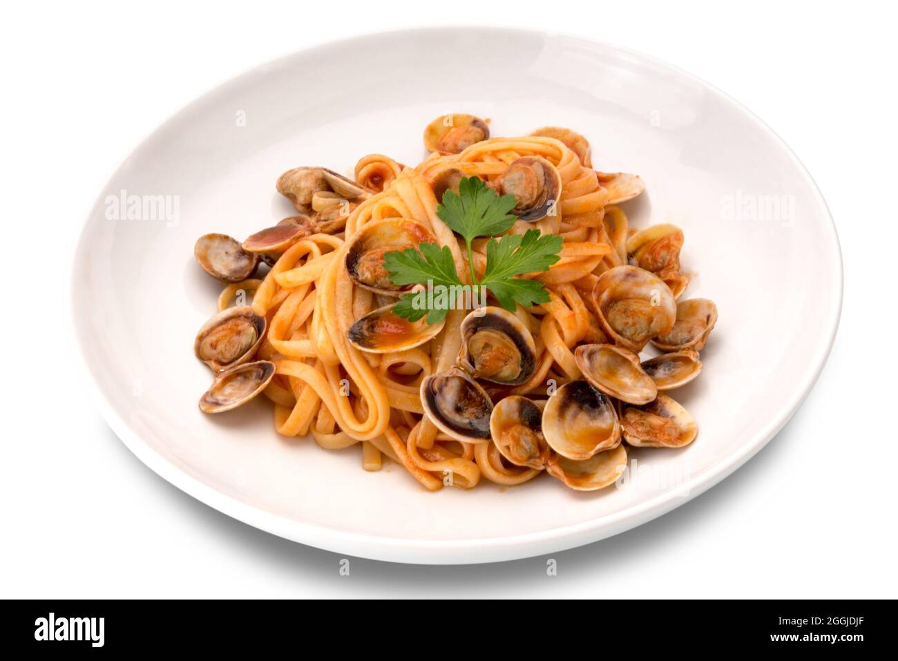 Linguine Pasta in einer Tomatenmuscheln-Sauce mit Petersilie serviert auf einem weißen Teller isoliert auf weiß Stockfoto