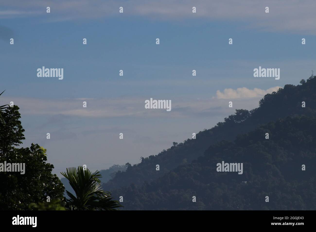 Landschaft in der Morgenzeit in kühlem Klima Stockfoto