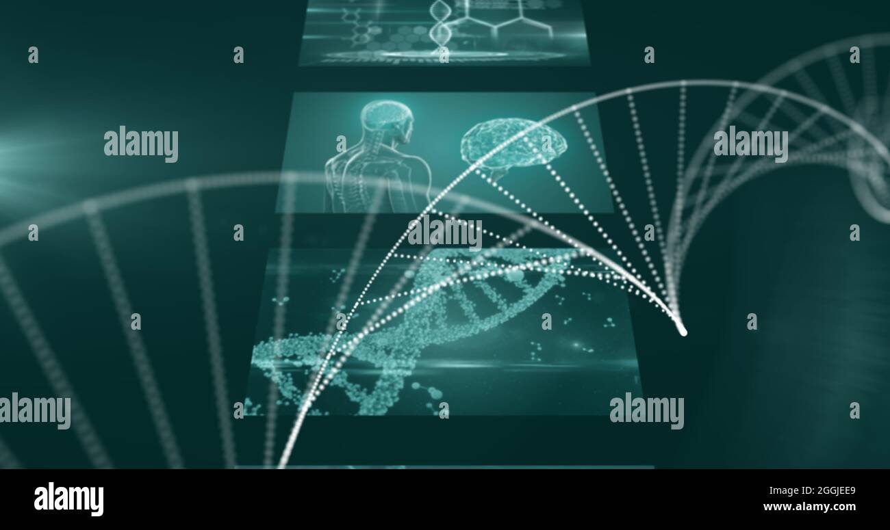 Bild von dna-Spinning und Bildschirmen mit medizinischer Datenverarbeitung Stockfoto