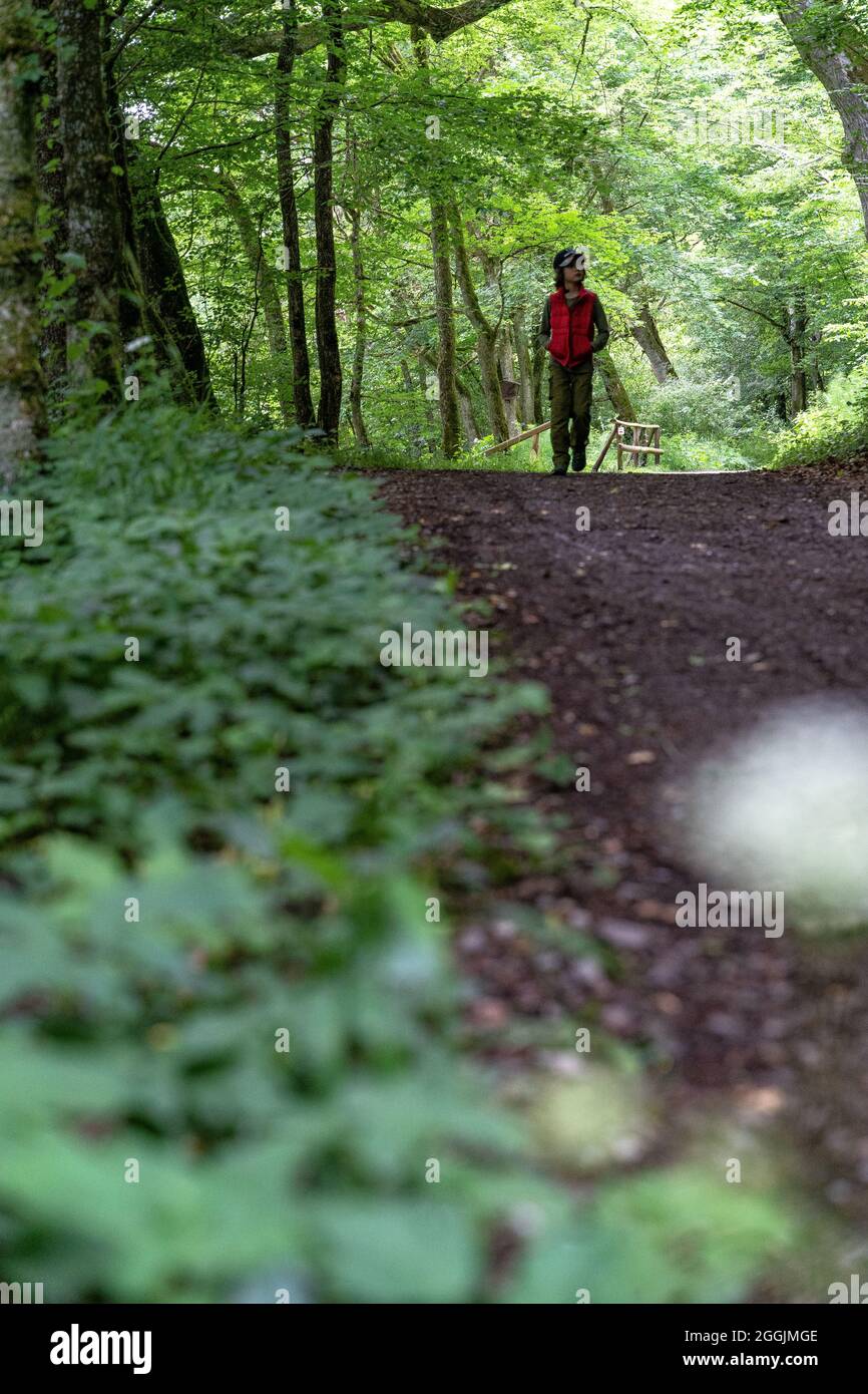 Europa, Deutschland, Baden-Württemberg, Region Schönbuch, Naturpark Schönbuch, Junge geht auf einem schattigen Waldweg in Schönbuch Stockfoto