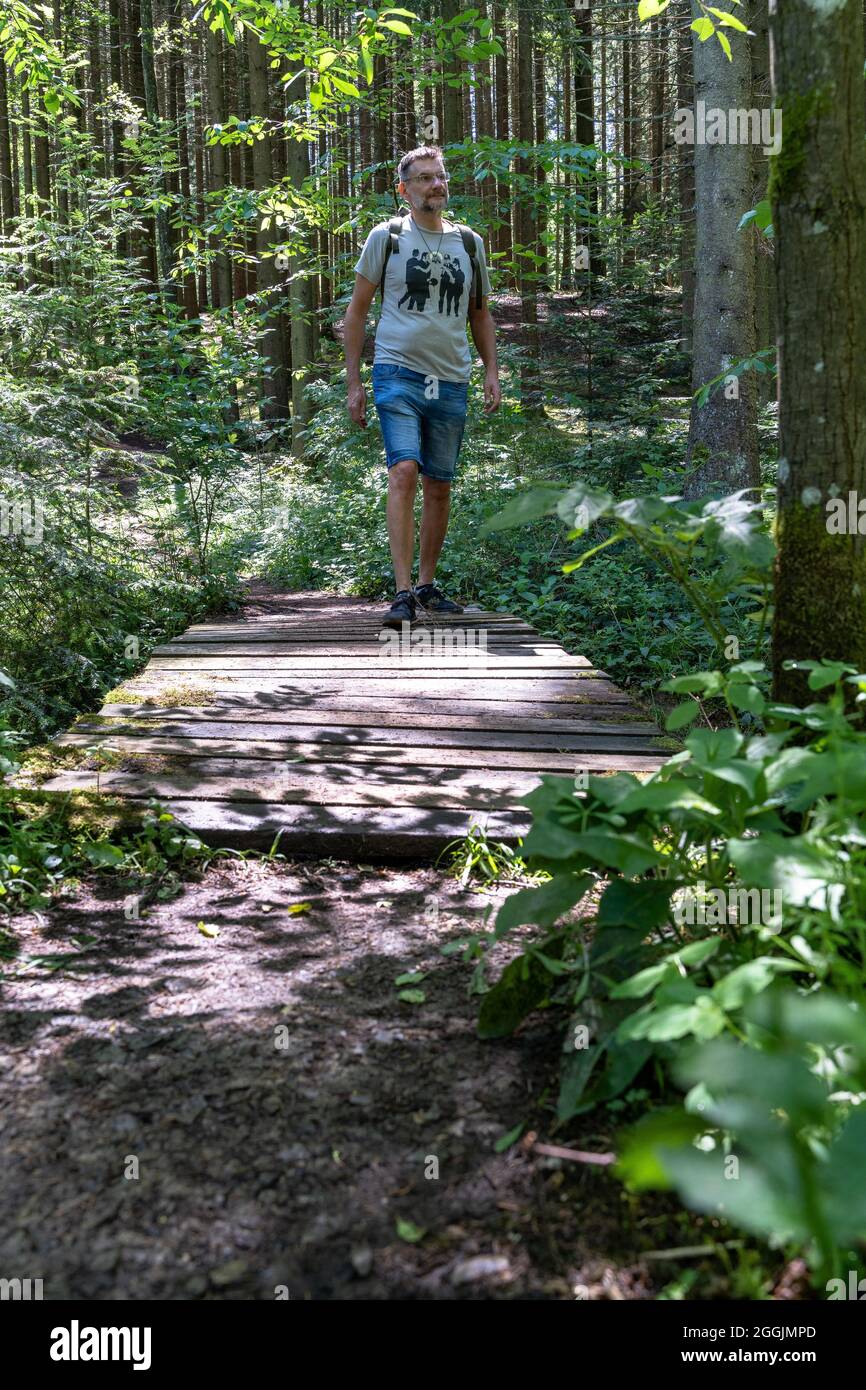 Europa, Deutschland, Baden-Württemberg, Schwäbisch-Fränkischer Wald, Welzheim, Wanderer auf dem malerischen Premium-Wanderweg FeenSpuren Römischer Wald Stockfoto