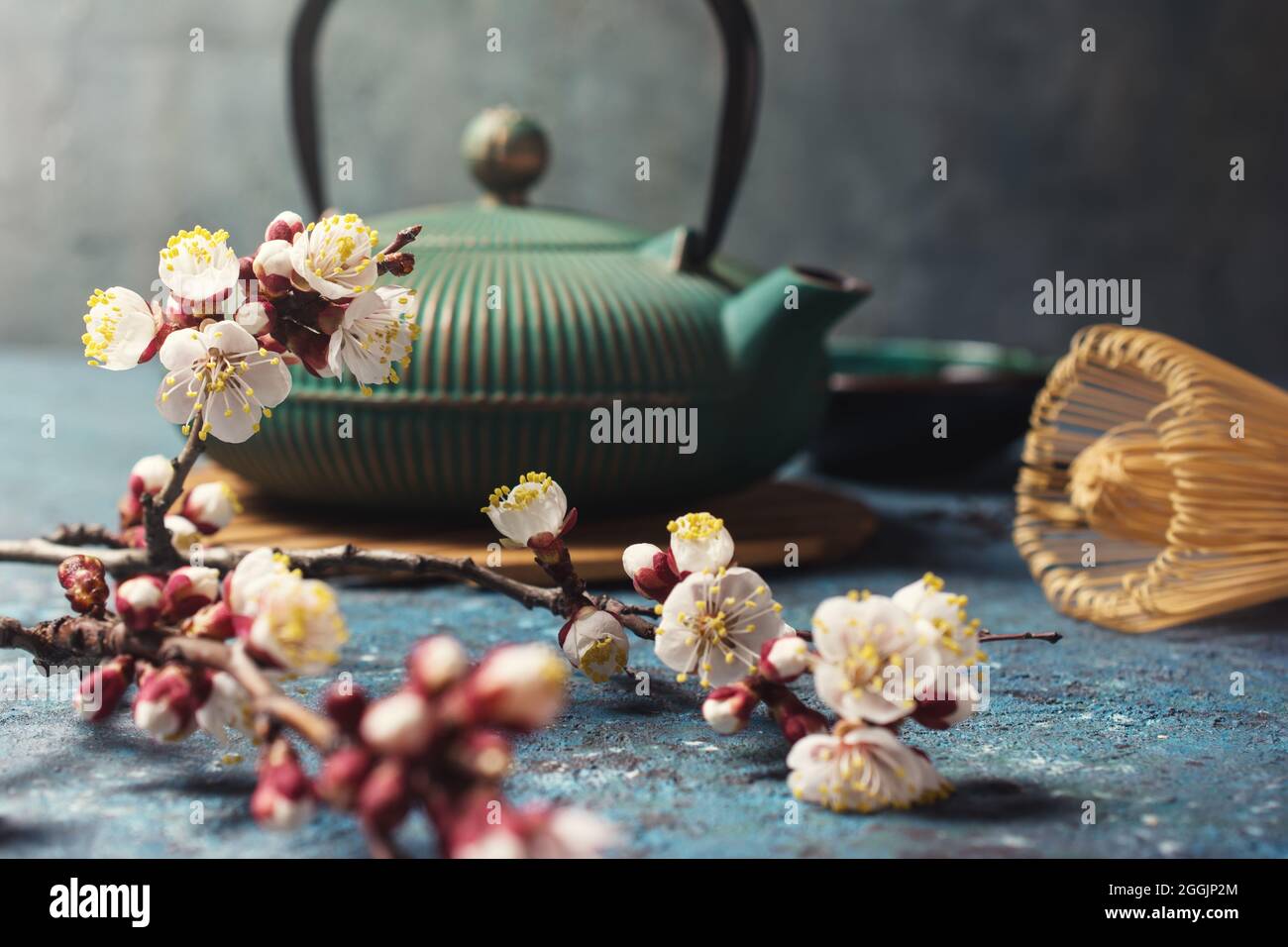 Schöne Frühlingskomposition mit traditionellem türkis-asiatischem Gusseisen-Kessel, Bambusbesen oder -Chasen und blühenden Aprikosenzweigen auf Blau Stockfoto