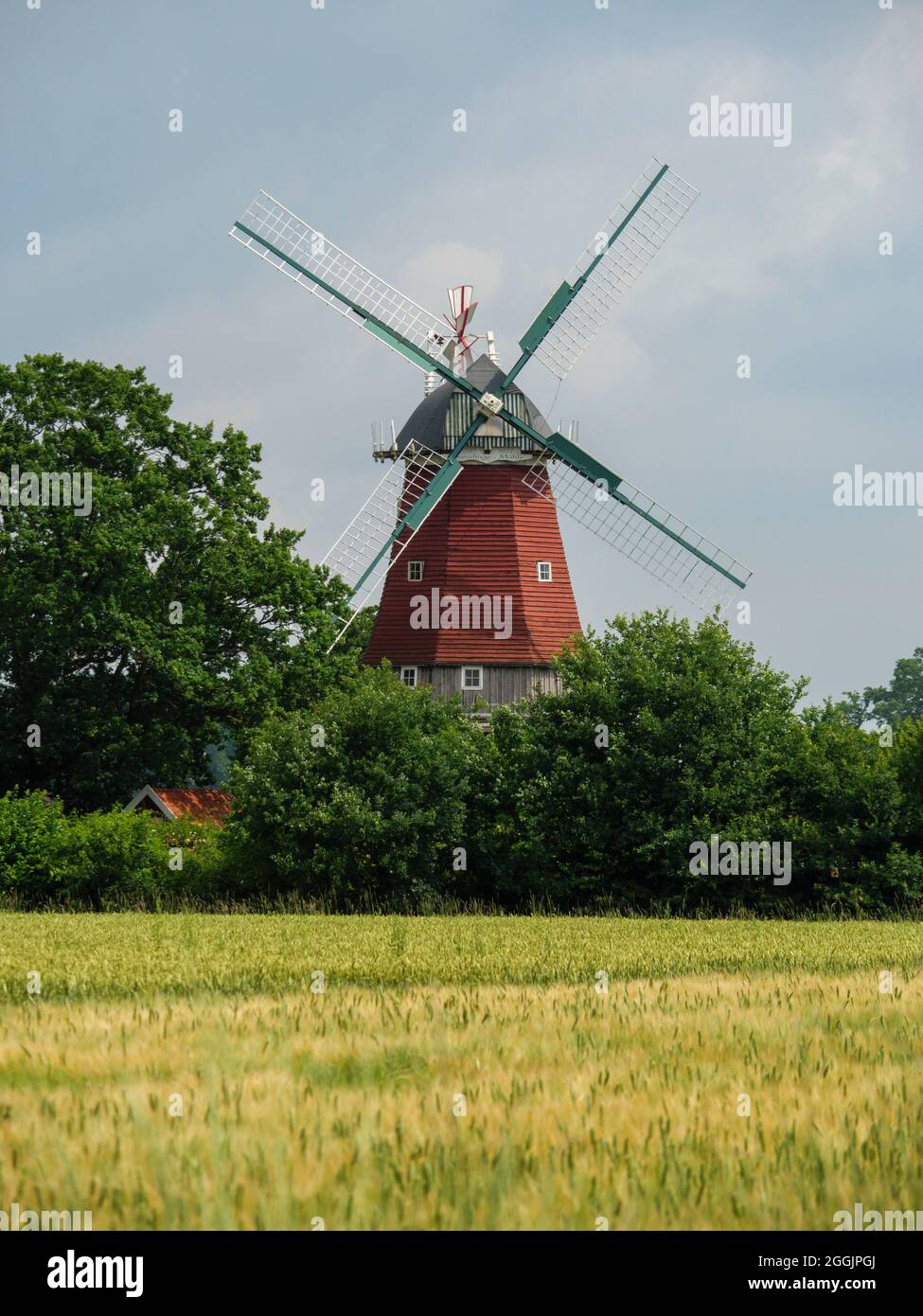 Windmühle Everdings Mühle, Badbergen, Osnabrücker Land, Niedersachsen, Deutschland Stockfoto