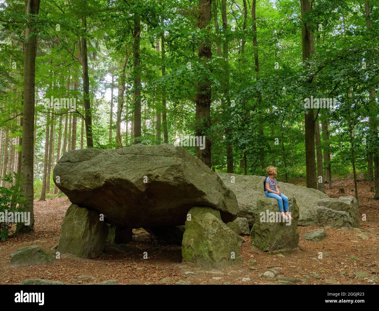 Prähistorisches großes Steingrab Karlsteine, Osnabrück, Osnabrücker Land, Niedersachsen, Deutschland Stockfoto