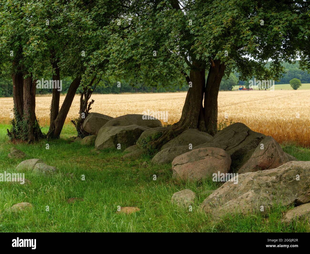 Prähistorisches großes Steingrab Oestringer Steine in Nettetal, Osnabrück, Osnabrücker Land, Niedersachsen, Deutschland Stockfoto