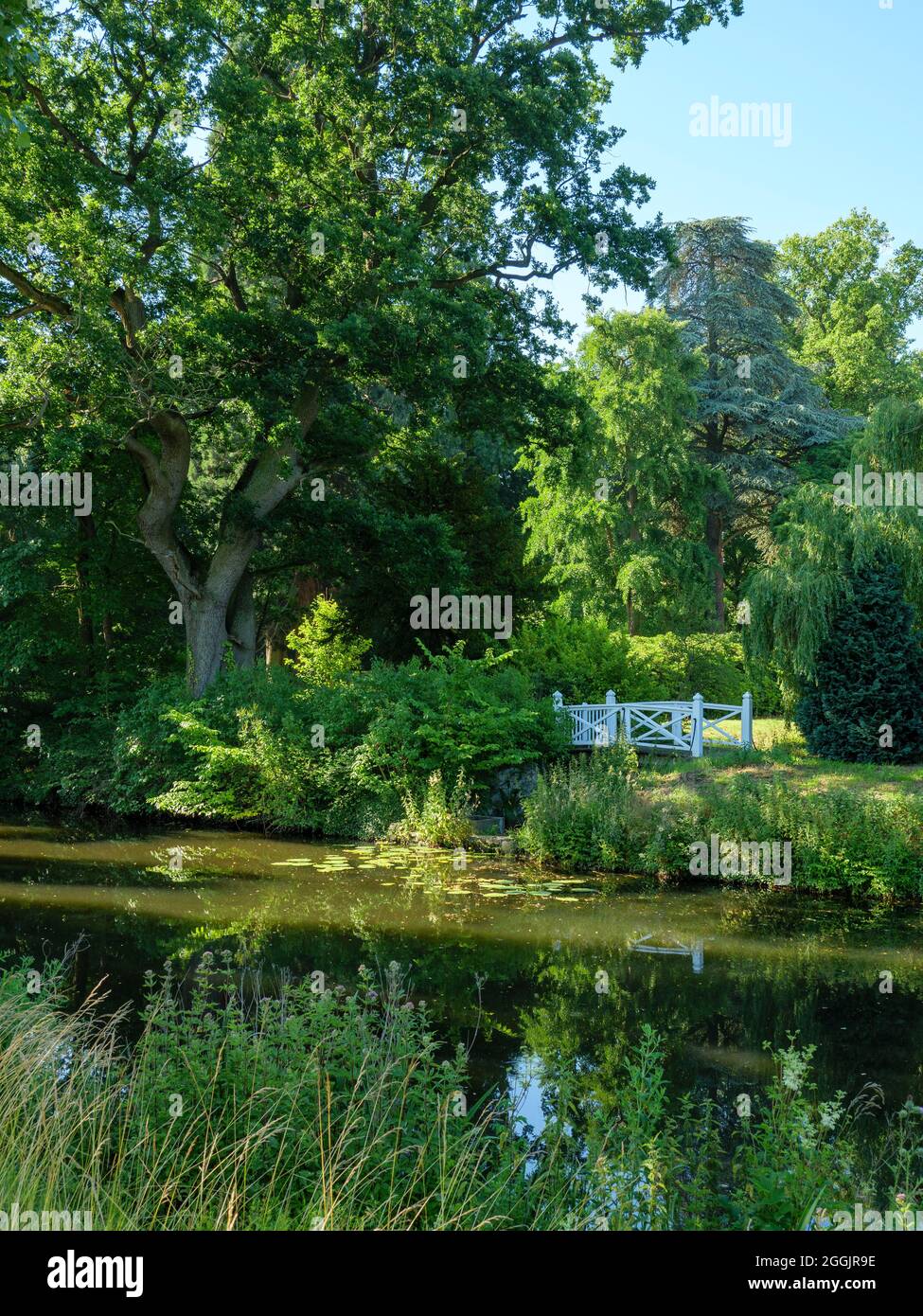 Wasserschloss Schloss Hünnefeld, Garten, Panoramabild, Bad Essen, Osnabrücker Land, Niedersachsen, Deutschland Stockfoto