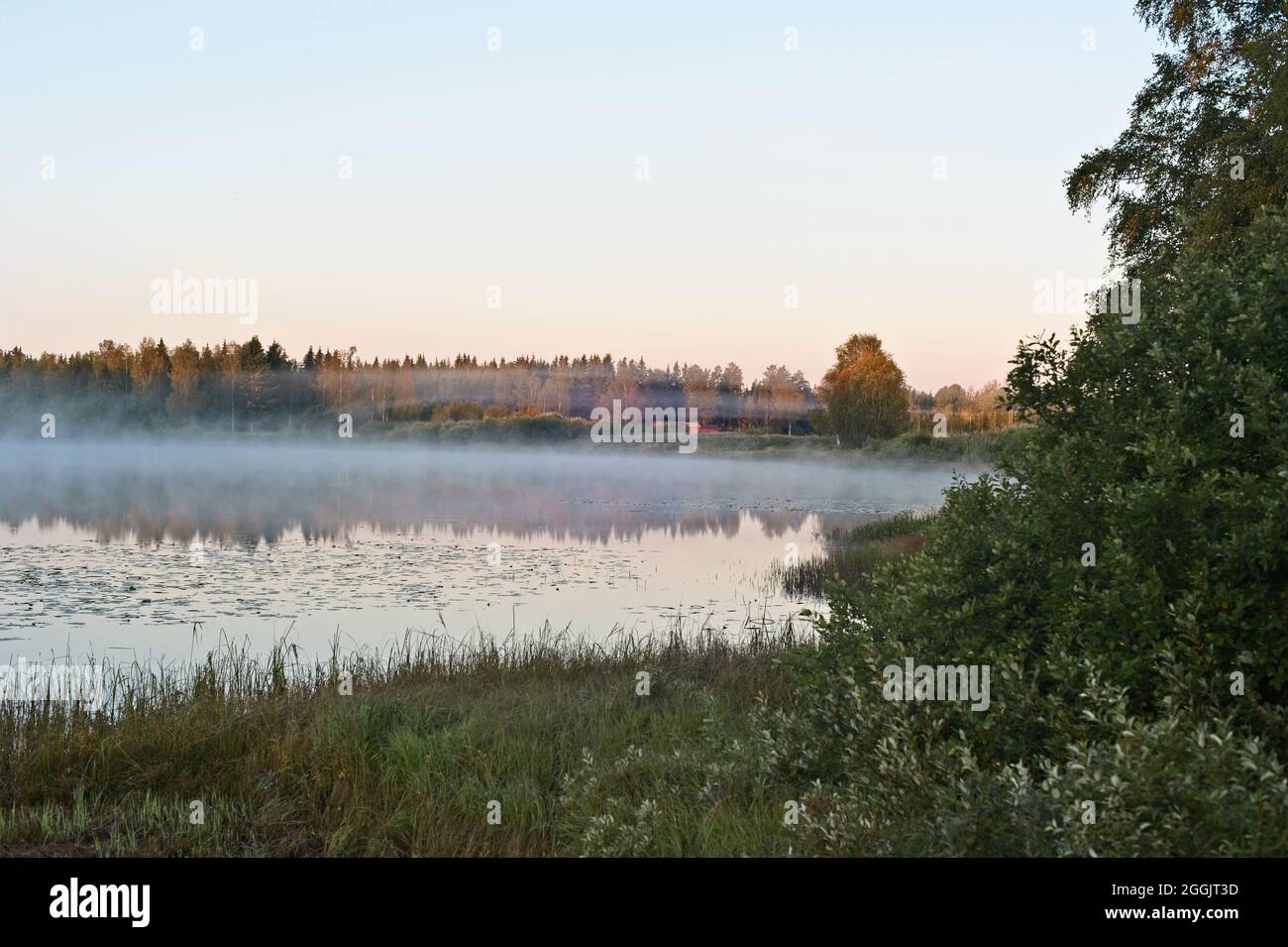 Flussszenen zwischen Wäldern und Nebel an einem bunten Herbstmorgen. Stockfoto