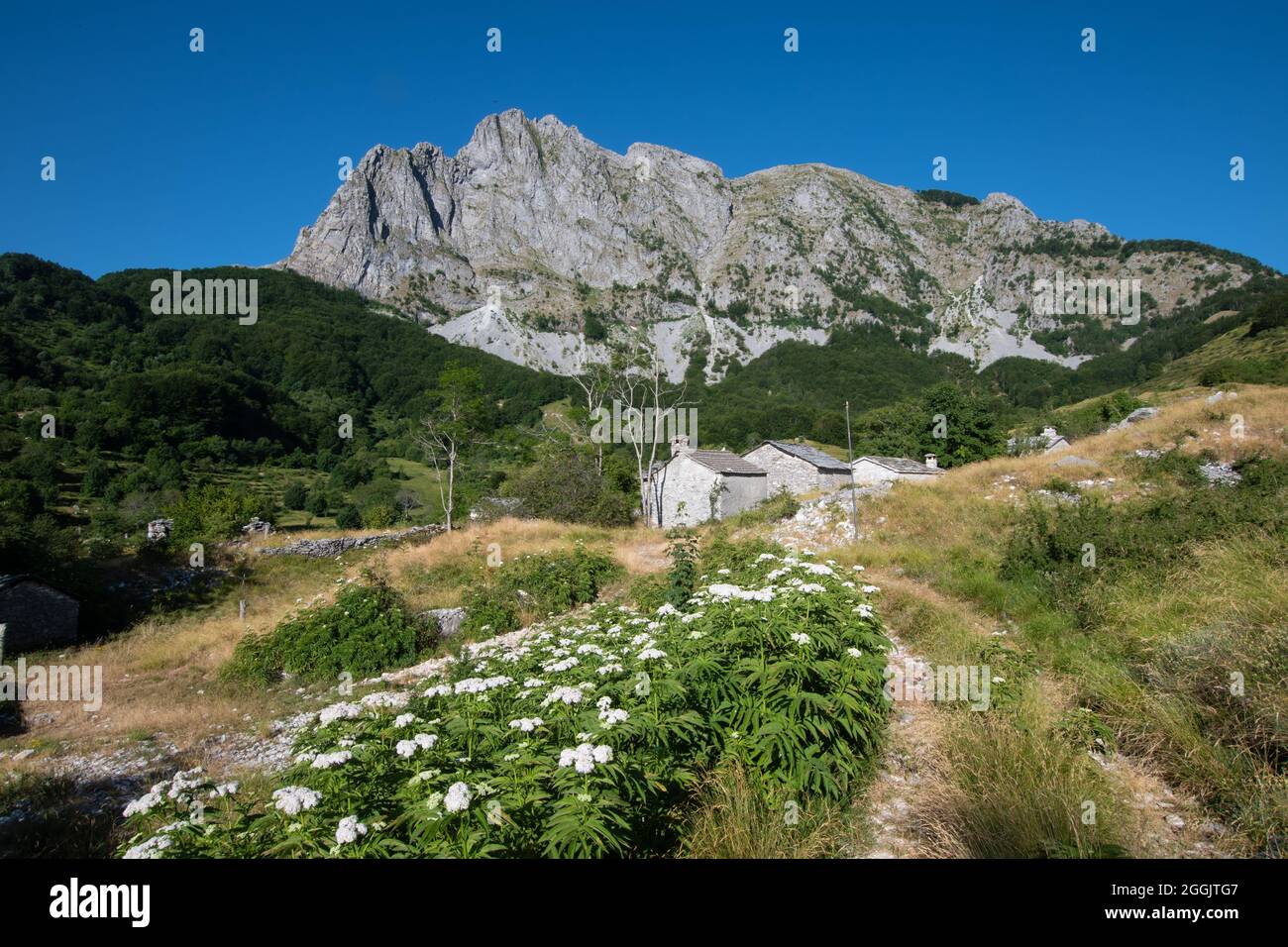 Vagli di Sotto. Campocatino Stockfoto