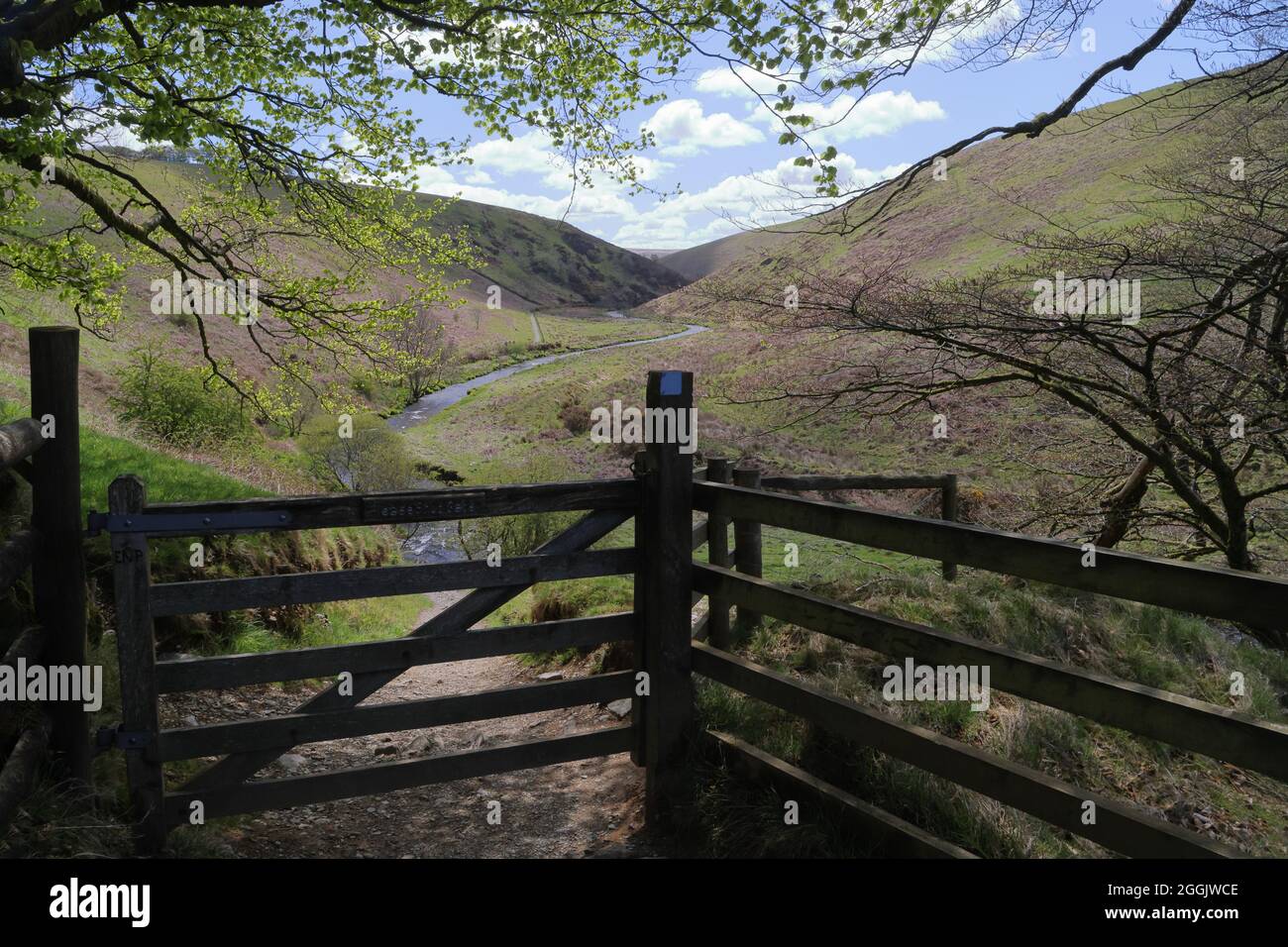 River Barle Valley, Exmoor National Park, Somerset, England, Großbritannien Stockfoto