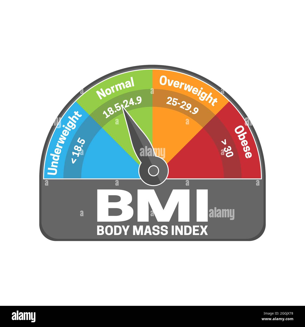 BMI Body Mass Index Abbildung oder Infografik berechnen. Untergewicht, normal, übergewichtig und fettleibig Stock Vektor