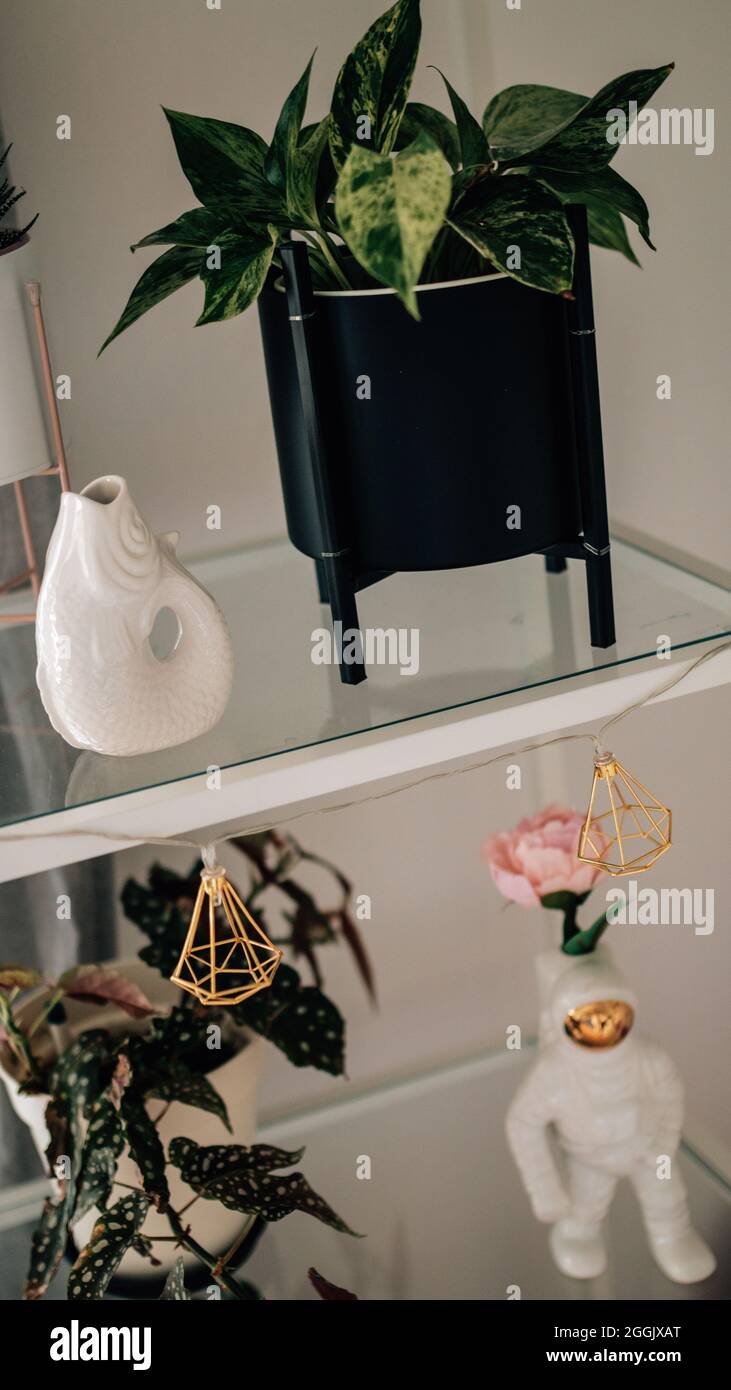 Pflanzen auf einem Regal mit Dekoration (Astronaut und Fisch), Affen-Mostera, Punktpflanze, efeutute / Instagram-Look Stockfoto