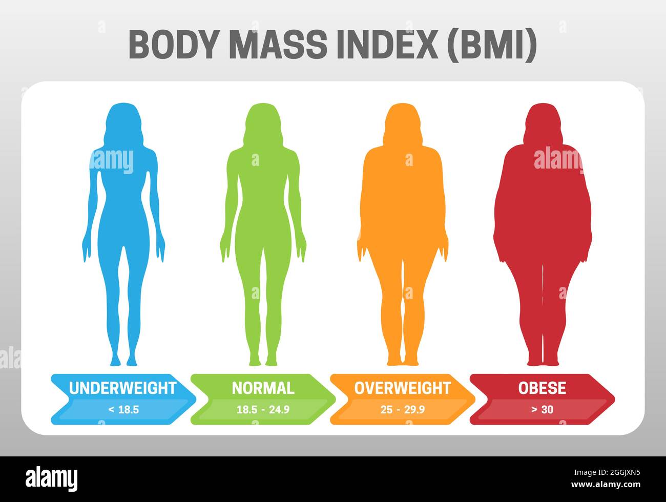 BMI Body Mass Index Vektor-Illustration mit Frau Silhouette von Untergewicht zu Fettleibigkeit. Adipositas Grad mit unterschiedlichem Gewicht. Stock Vektor