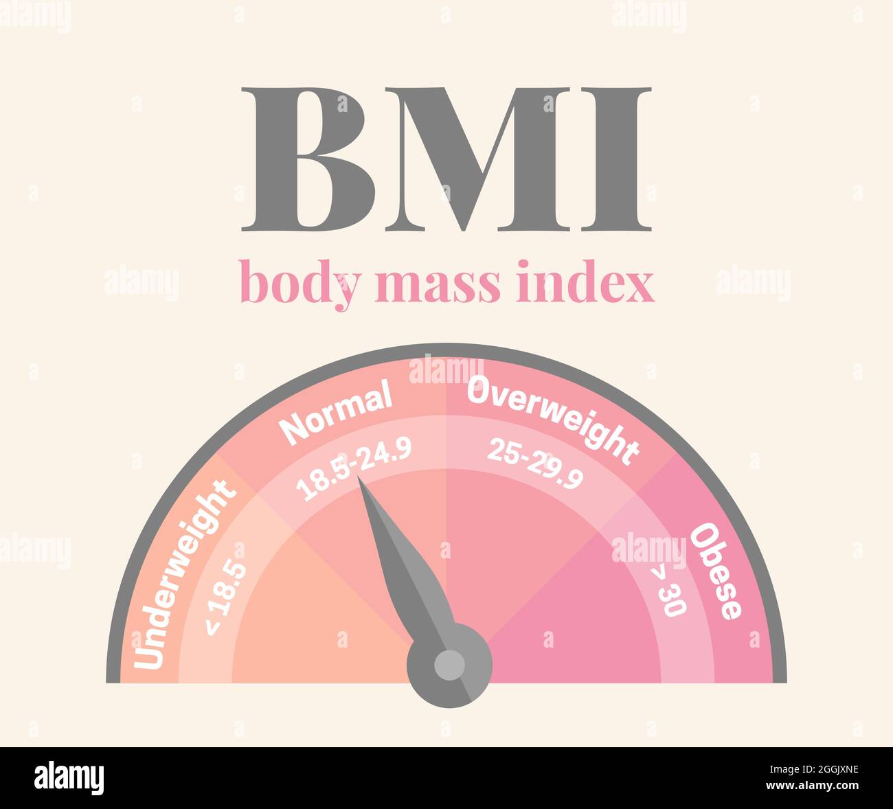 BMI Body Mass Index Feminine Pink Infografik Vektor-Illustration für Gewichtsreduktion oder Gewichtszunahme Stock Vektor