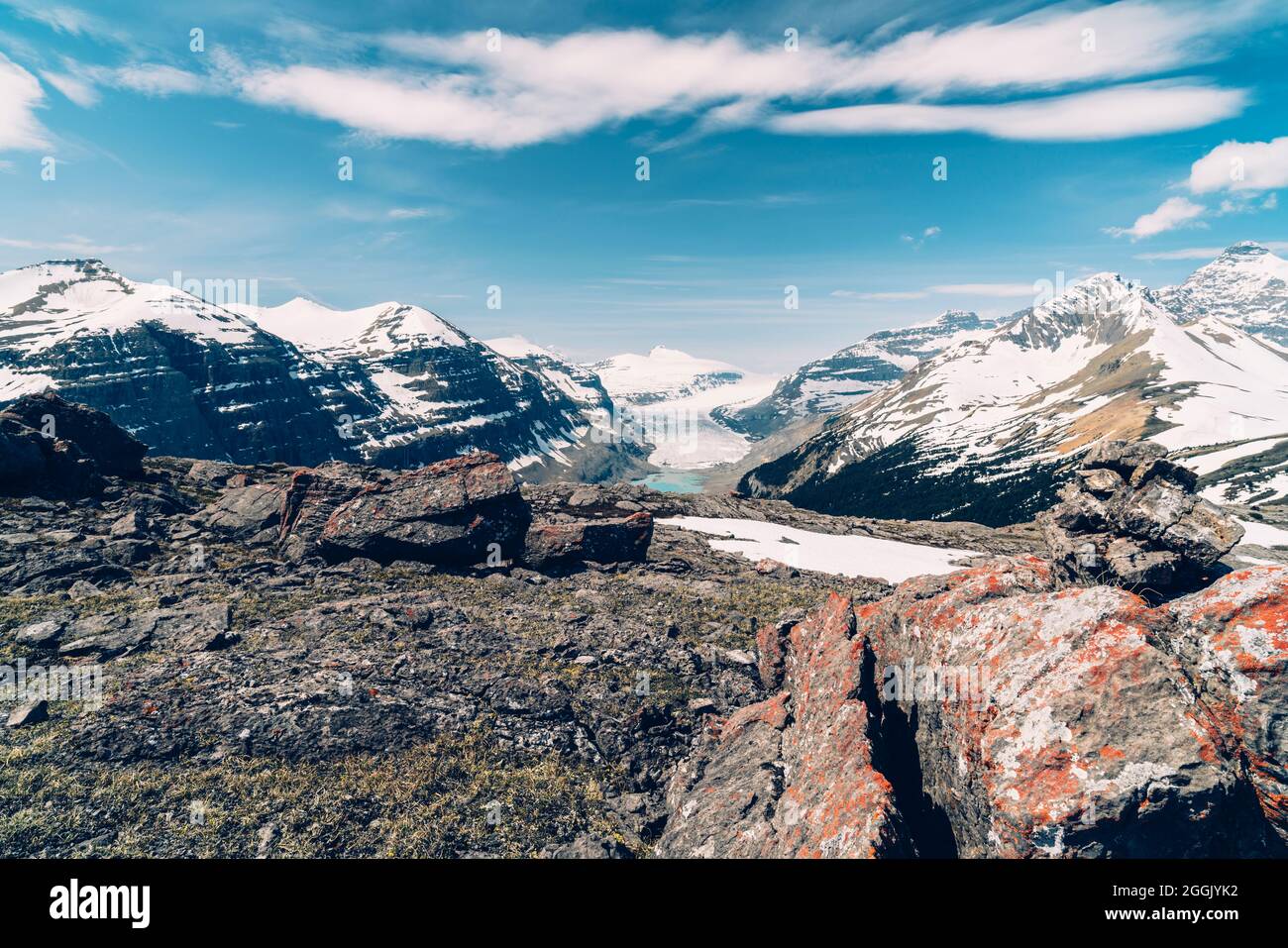 Parker Ridge/Icefields Parkway Stockfoto