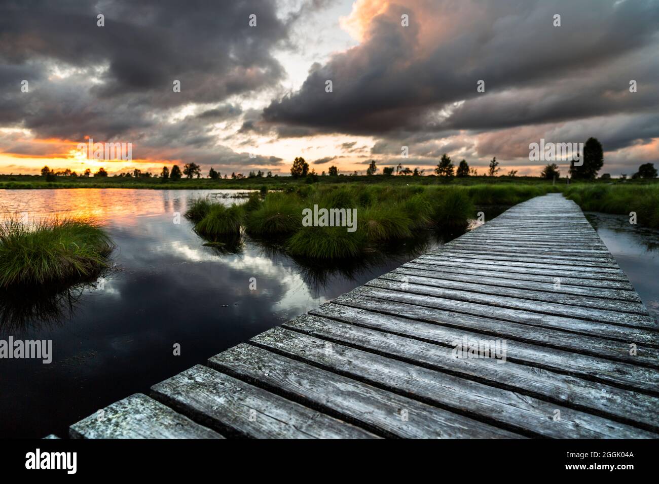 Fußgängerbrücke durch den Naturpark Brackvenn, Brackvenn High Fens, Belgien Stockfoto