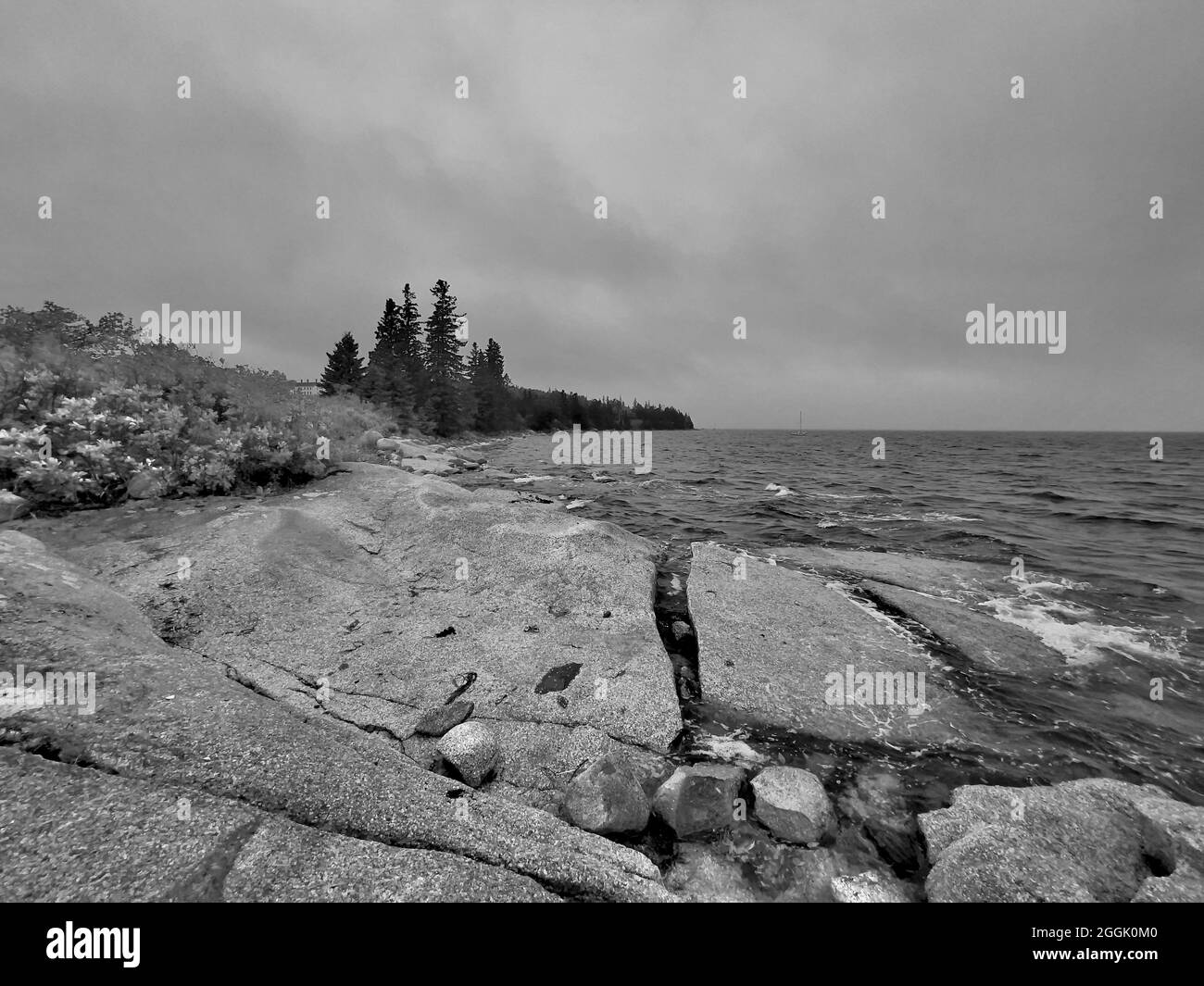Raue, felsige Küste von Maine an einem bewölkten Tag auf Flye Point, Brooklin Maine und in der Nähe der „Lookout Lodge“ Stockfoto