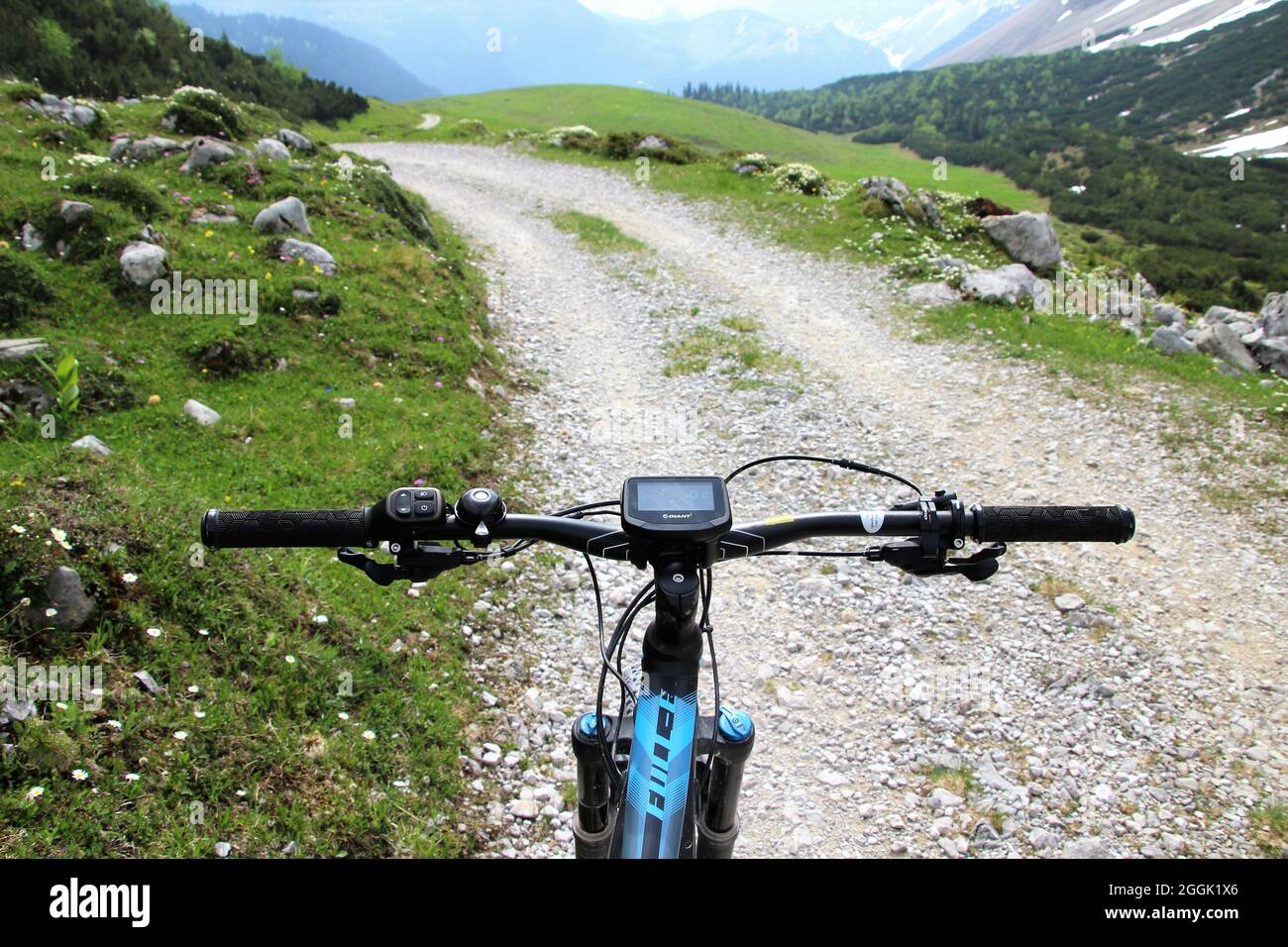 E-Bike neben alpiner Blumenwiese, Lenker mit Display, weißes silbernes Arum (Dryas octopetala), Abfahrt vom Karwendelhaus zum kleinen Ahornboden. Stockfoto