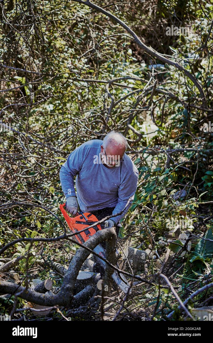 Ein alter Mann hackt zu Hause im Garten Holz. Stockfoto
