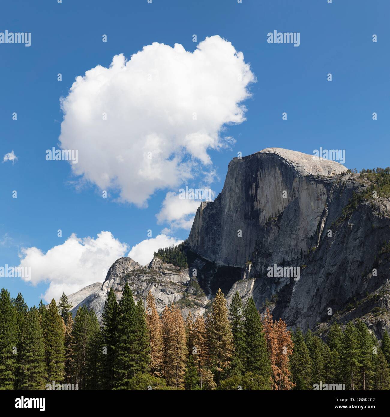 Half Dome, Yosemite National Park, California, USA, USA, Stockfoto