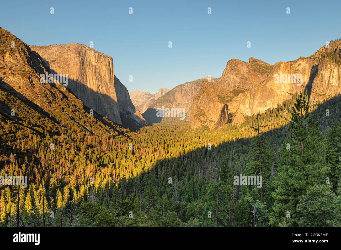 Tunnelblick, Yosemite Valley mit El Capitan und Half Dome, Yosemite National Park, California, USA, USA Stockfoto