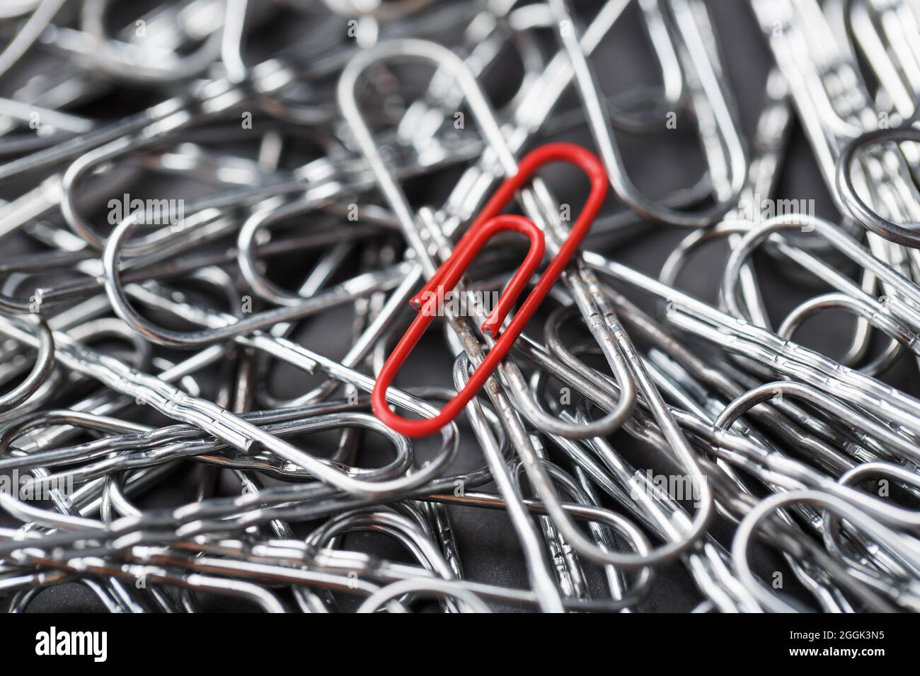 Eine rote Büroklammer zeichnet sich durch einen strukturierten Hintergrund aus silbernen Büroklammern aus. Konzept Stockfoto