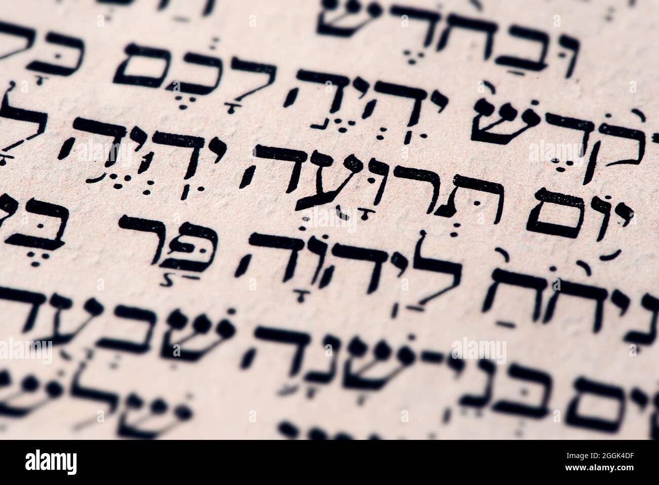 Nahaufnahme der hebräischen Wörter Yom Teruah auf der Torah-Seite, die auf englisch als Tag der Trompeten übersetzt werden - Beginn von Rosh Hashanah, Jüdisches Neujahr Stockfoto