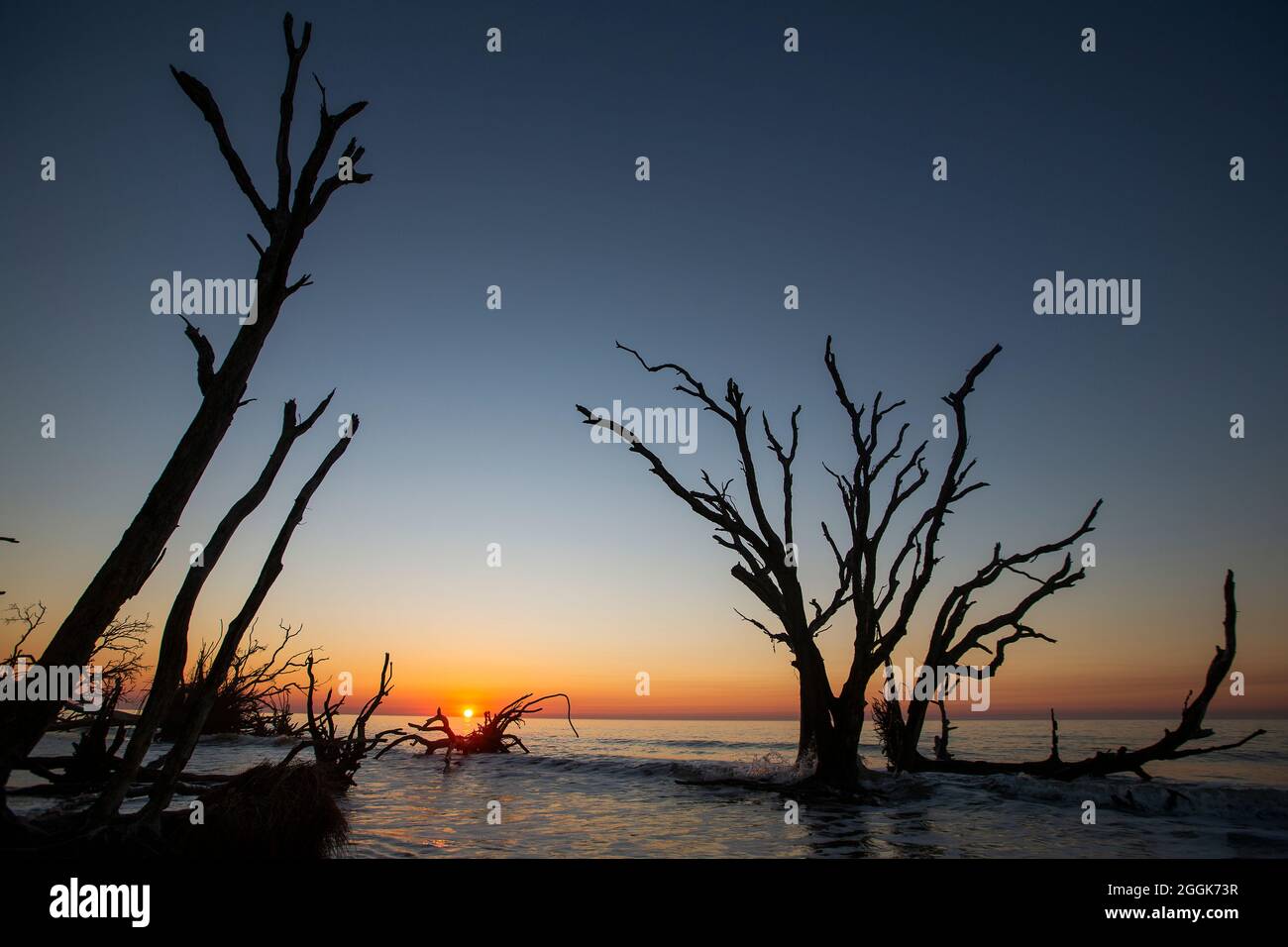 Botany Bay Plantation in Edisto Island, South Carolina. Stockfoto