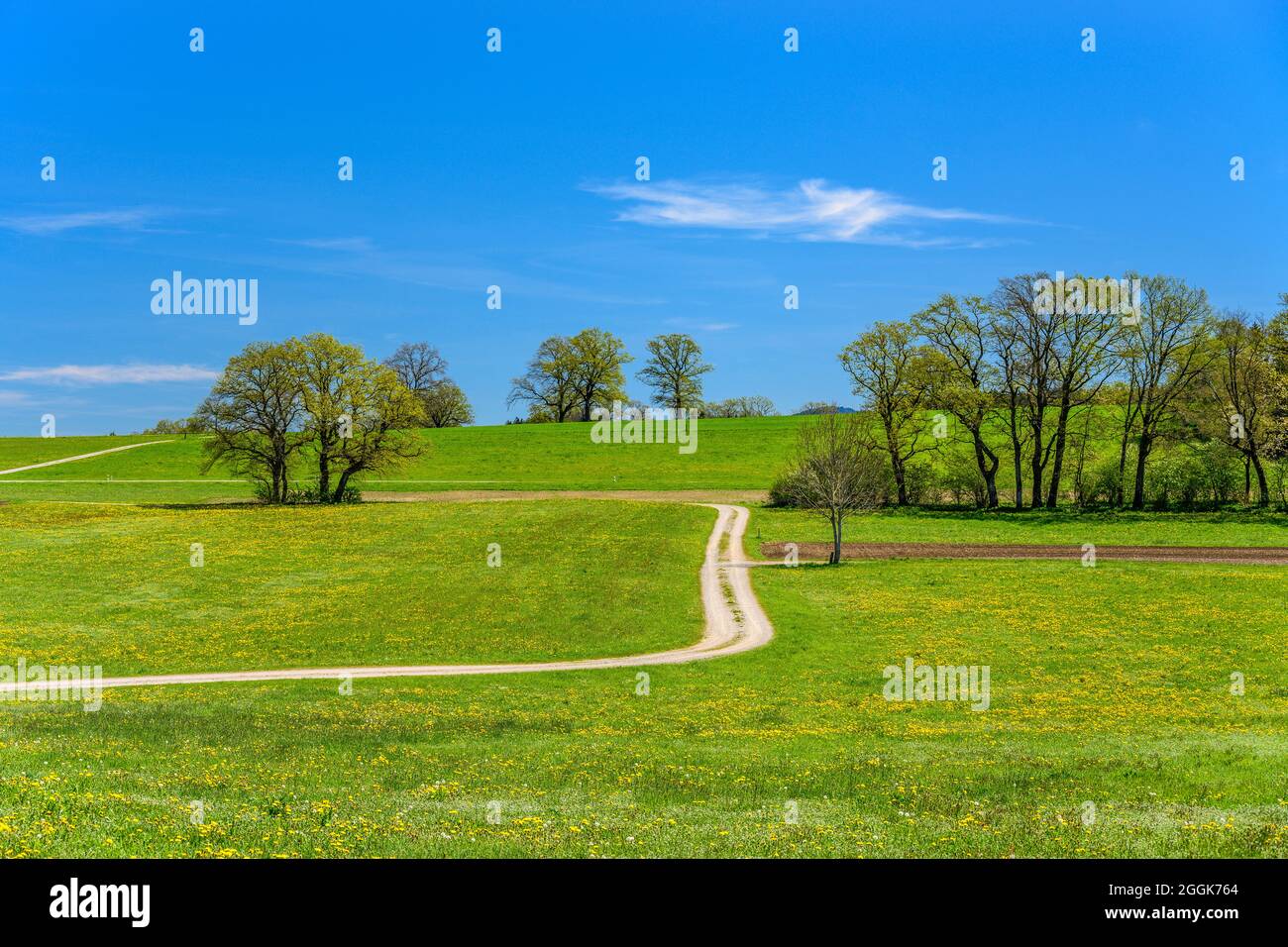 Deutschland, Bayern, Oberbayern, Pfaffenwinkel, Spatzenhausen, Bezirk Hofheim, Frühlingslandschaft Stockfoto