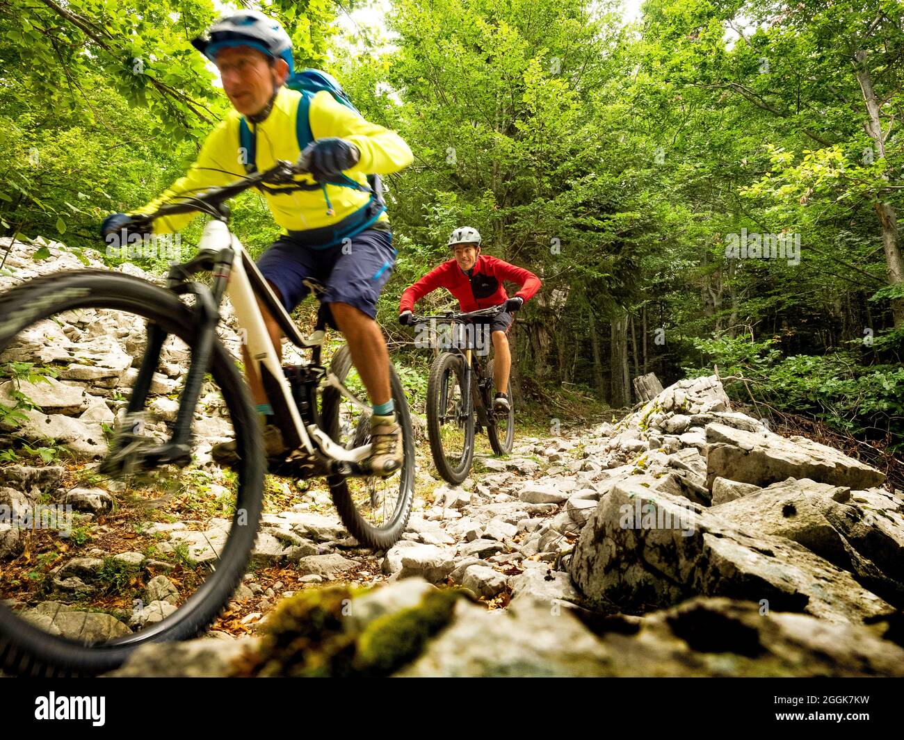 Mountainbiker auf Singletrails im Les Coulmes Wald, Rencurel, Auvergne-Rhones-Alpes Departement Stockfoto