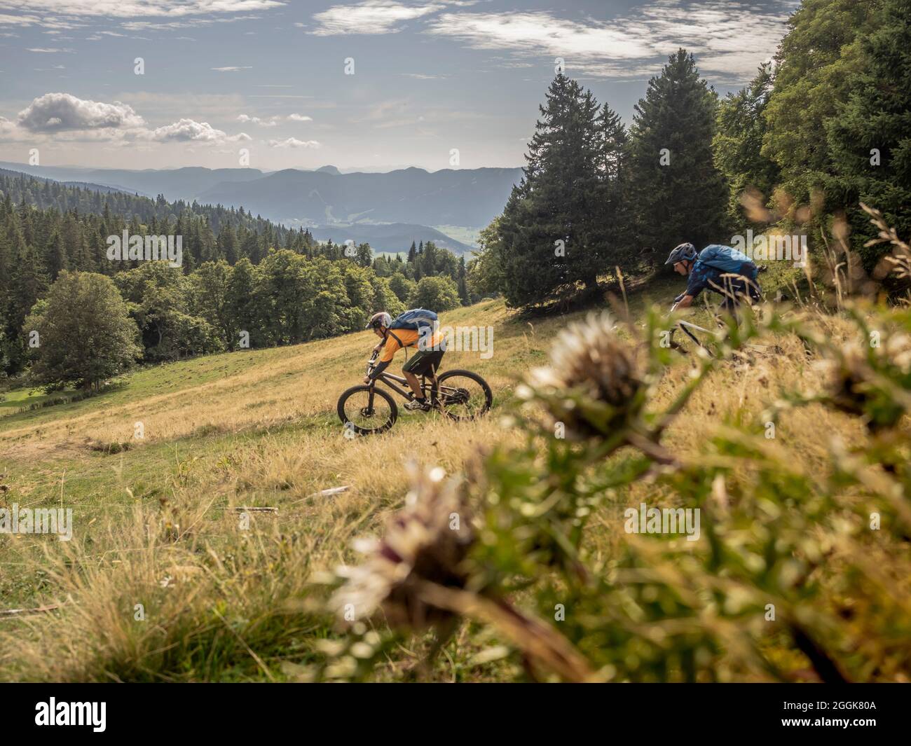 Mountainbiker auf Singletrails im nördlichen Teil des Vercors, Departement Auvergne-Rhones-Alpes Stockfoto