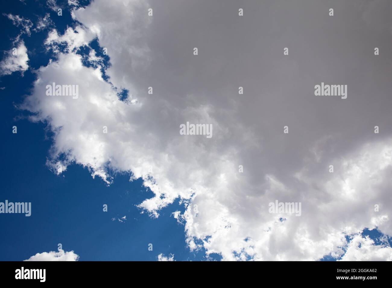 Flauschige weiße Wolken und ein tiefblauer Himmel. Stockfoto