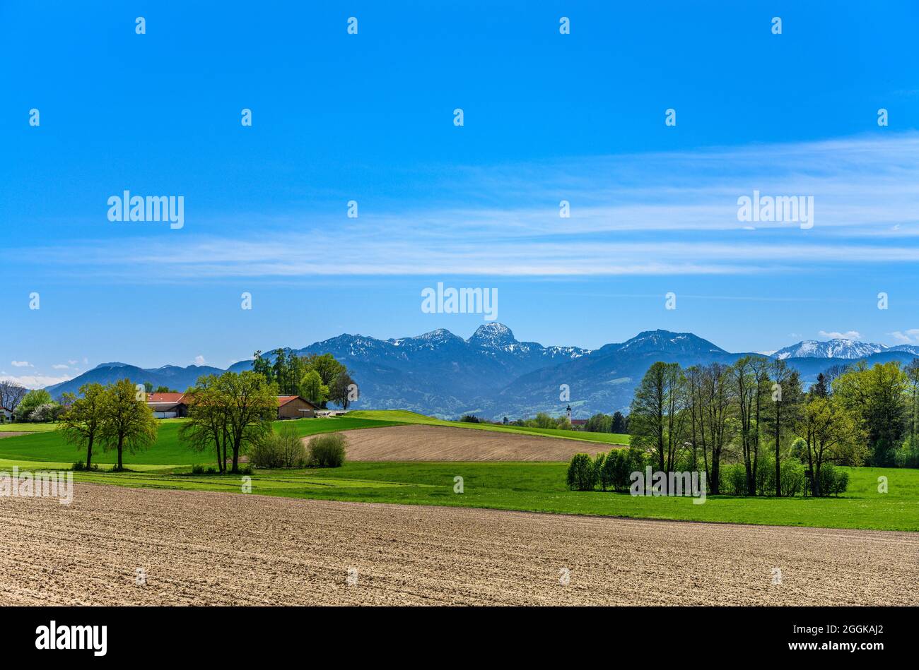 Deutschland, Bayern, Oberbayern, Landkreis Rosenheim, Bad Aibling, Heiratsberg, Frühlingslandschaft gegen Wendelstein-Massiv Stockfoto