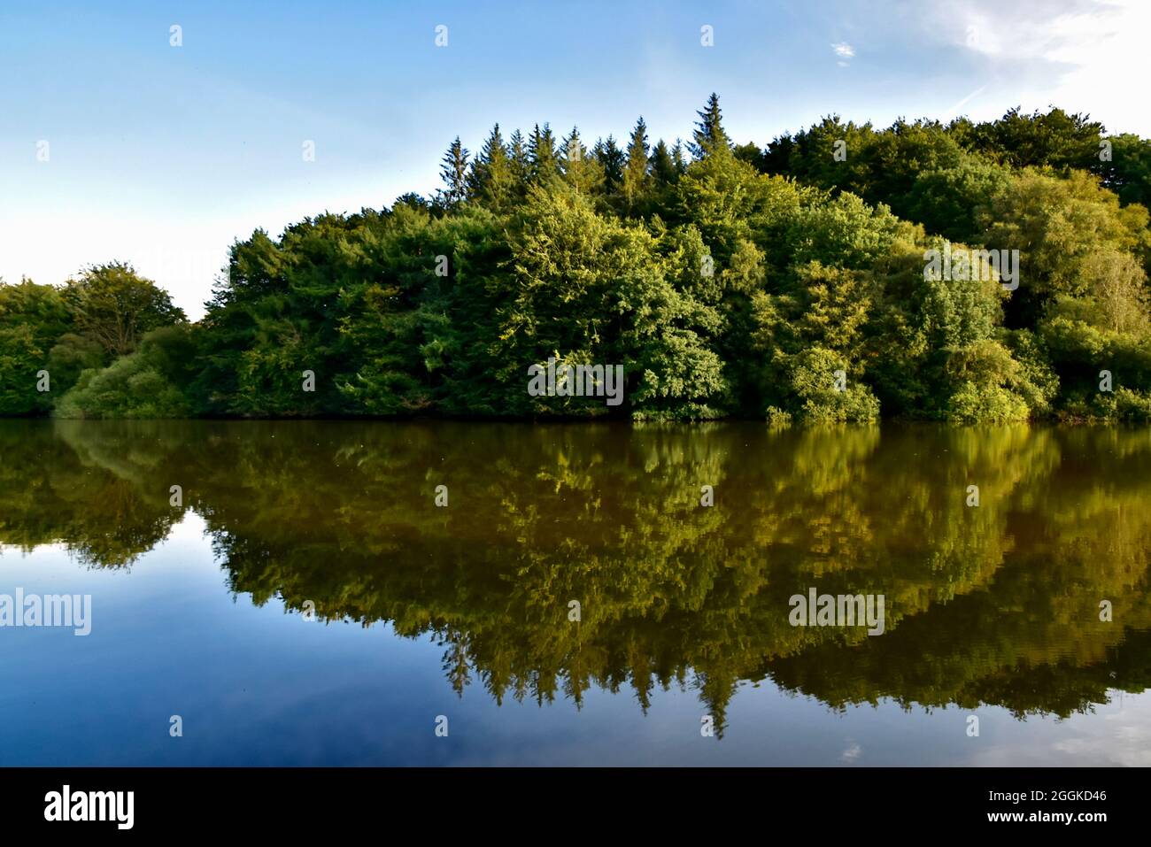 Spiegelungen von Bäumen auf dem Ryburn Reservoir. Stockfoto
