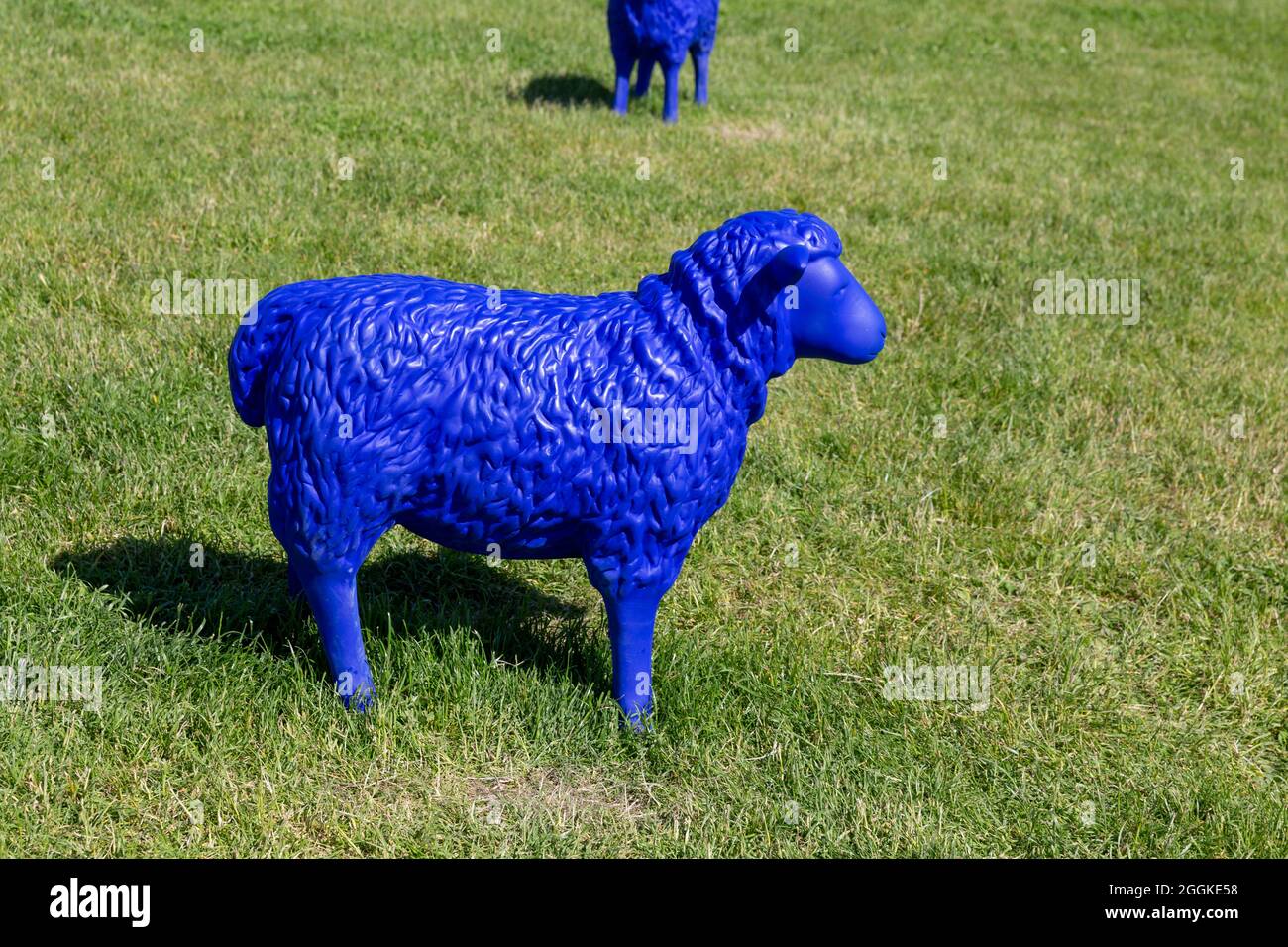 Blaues Schaf, Inspiration Landwirtschaft, Inspiration Natur, Landesgartenschau, Ingolstadt 2020, Neue Laufzeit 2021, Ingolstadt, Bayern, Deutschland, Europa Stockfoto