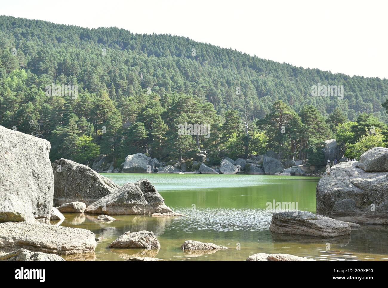 Eingang vom Ufer zum Wasser der Schwarzen Lagune. Kiefernwald im Hintergrund, Berglandschaft. Soria, Spanien. Stockfoto