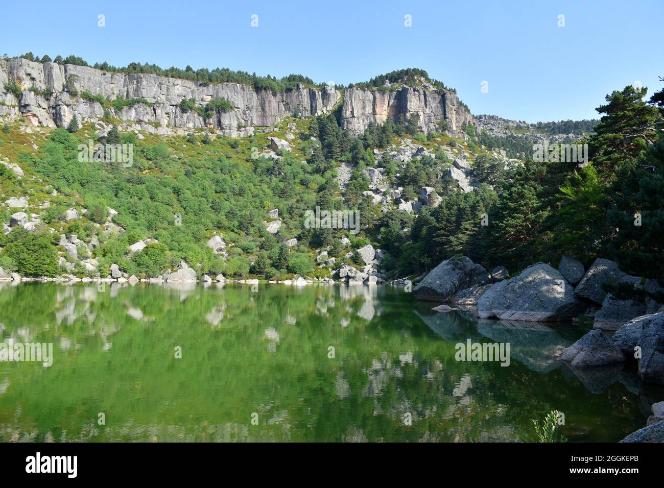 Grüne Farbpalette in der Schwarzen Lagune bei Sonnenaufgang, Provinz Soria, Spanien Stockfoto