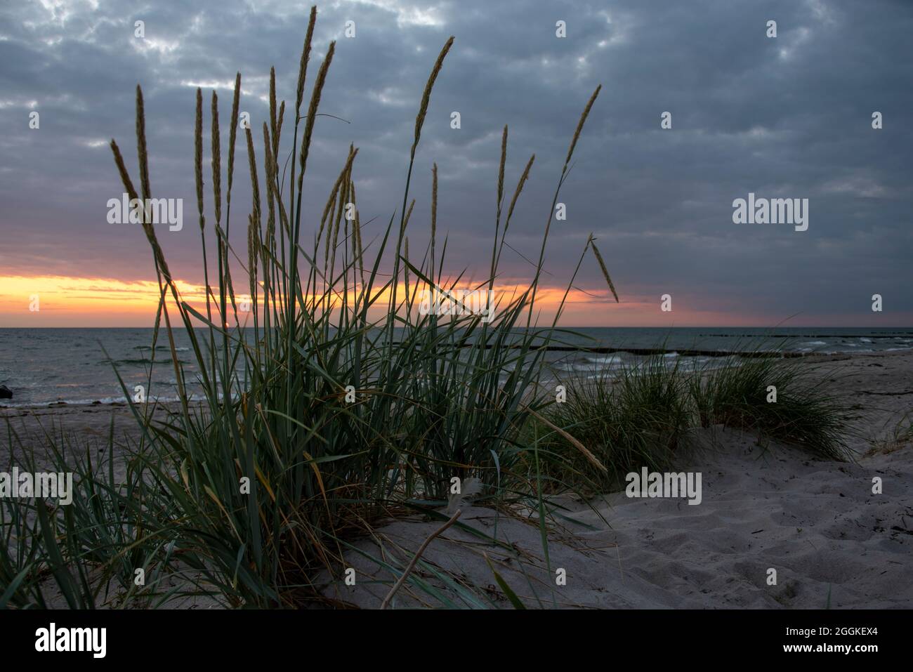 Deutschland, Mecklenburg-Vorpommern, Insel Hiddensee, Sonnenuntergang am Strand von Hiddensee, Ostsee Stockfoto