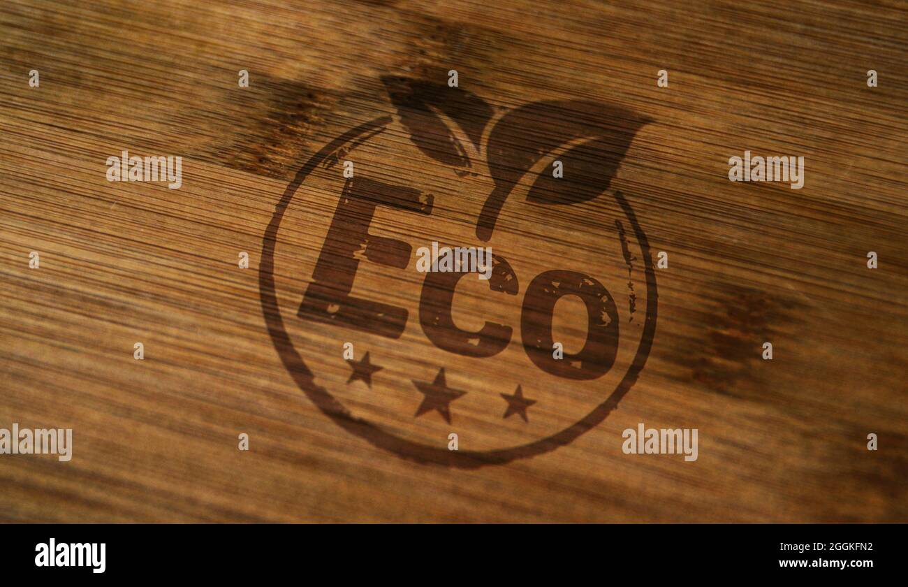 Umweltfreundlicher Stempel auf Holzkiste gedruckt. Ökologie, Umwelt und Klima Konzept. Stockfoto