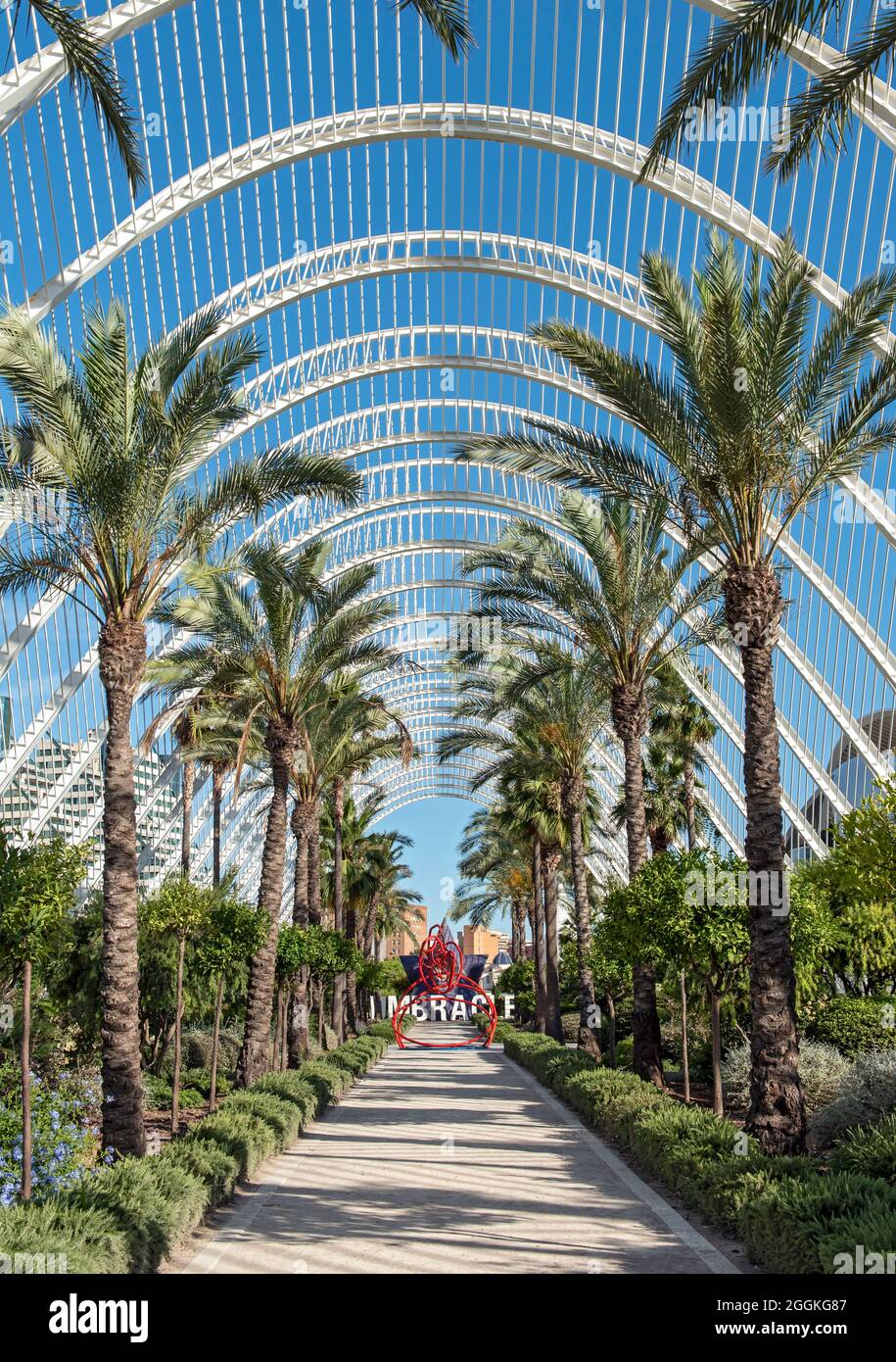 Das Umbracle (L'Umbracle), Stadt der Künste und Wissenschaften (Ciutat de les Arts i les Ciències), Valencia, Spanien Stockfoto