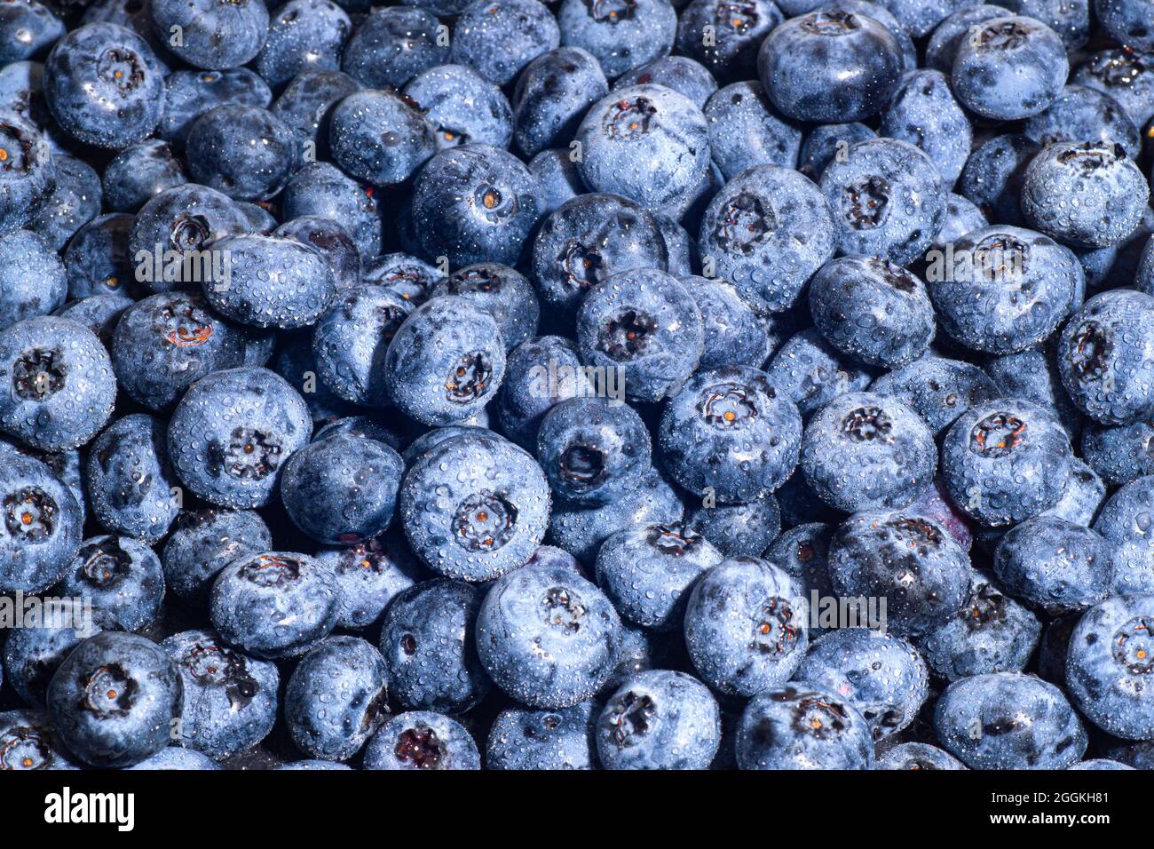 Frische reife Heidelbeeren Hintergrund Stockfoto