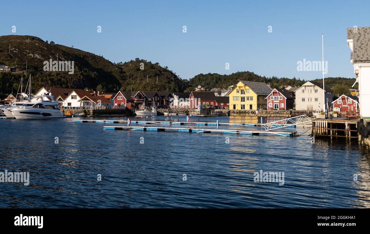 Der Hafen von Kalvåg mit Knutholmen in Frøya, Nordfjord, ist ein ehemaliges Fischerdorf, das zum Touristenmagnet wurde Stockfoto