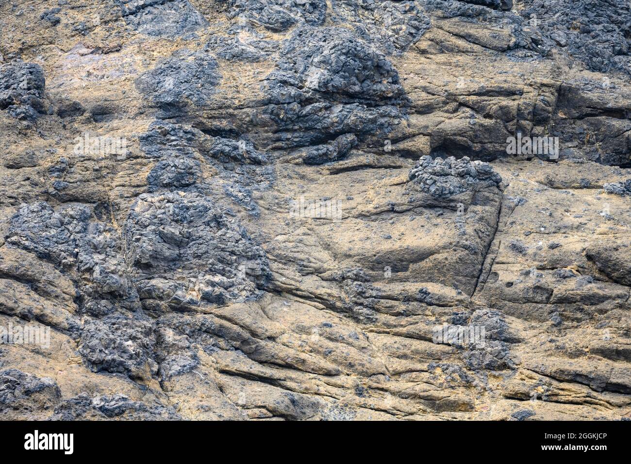Große Felsbrocken aus vulkanischem Gestein, gemischt mit vulkanischer Asche. Tillamook, Oregon, USA. Stockfoto