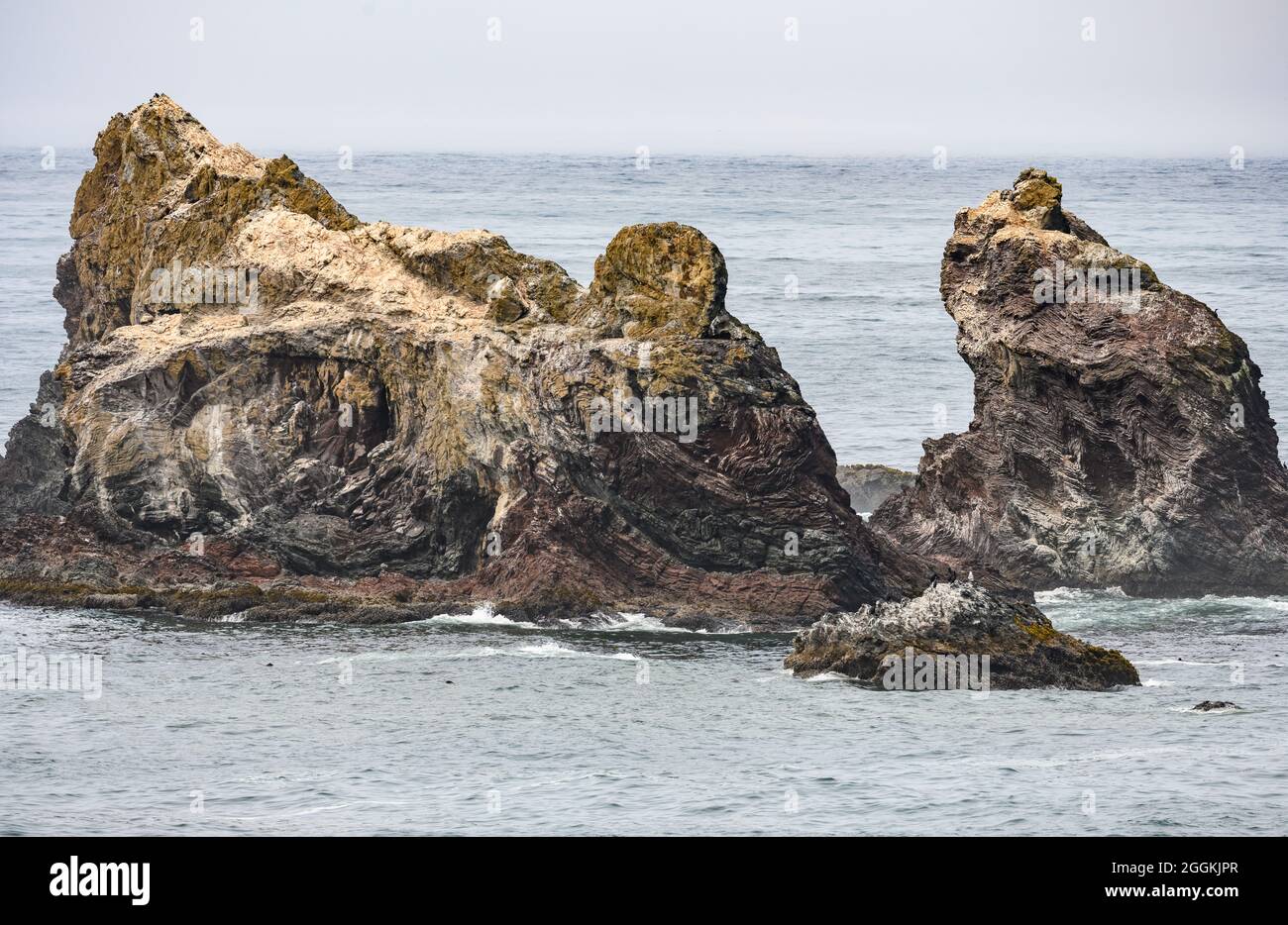 Aufschlüsse von stark deformierten Gesteinen entlang der Pazifikküste. Florenz, Oregon, USA. Stockfoto