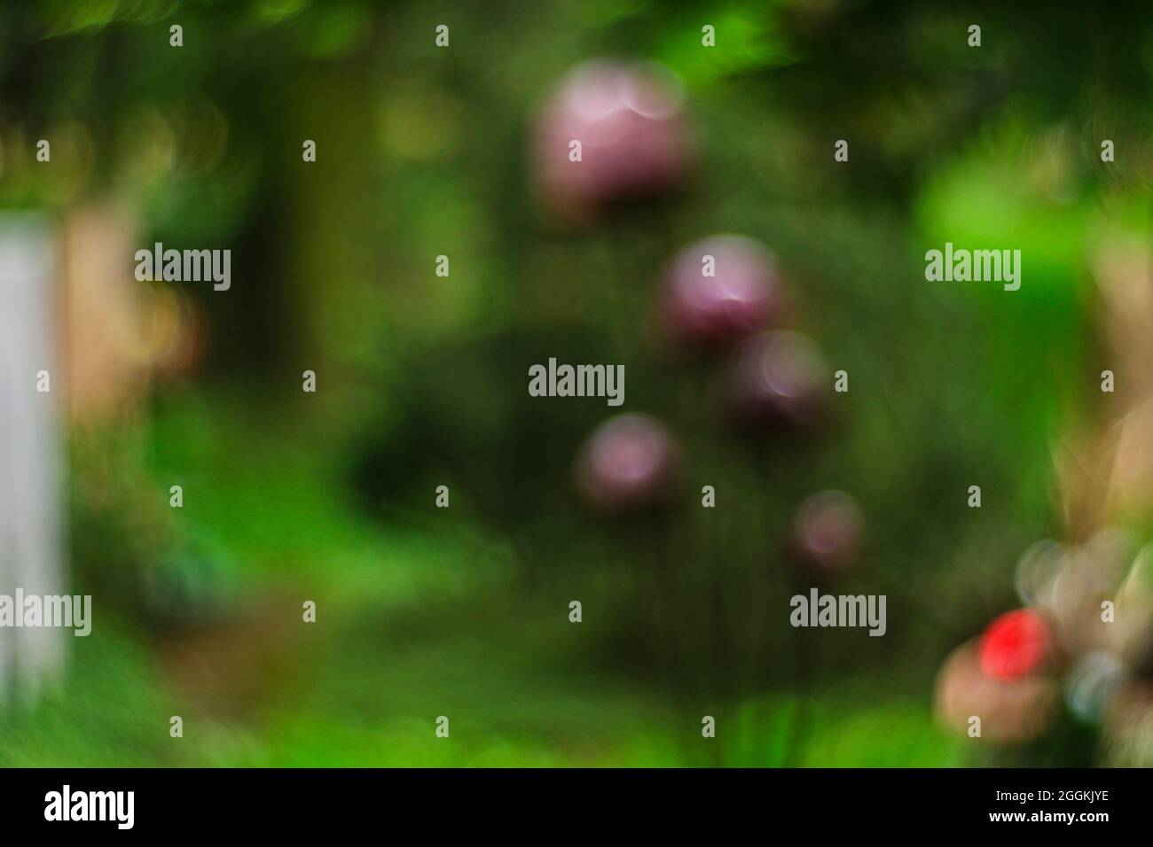 Skulptur in Form von Tulpen. Stockfoto