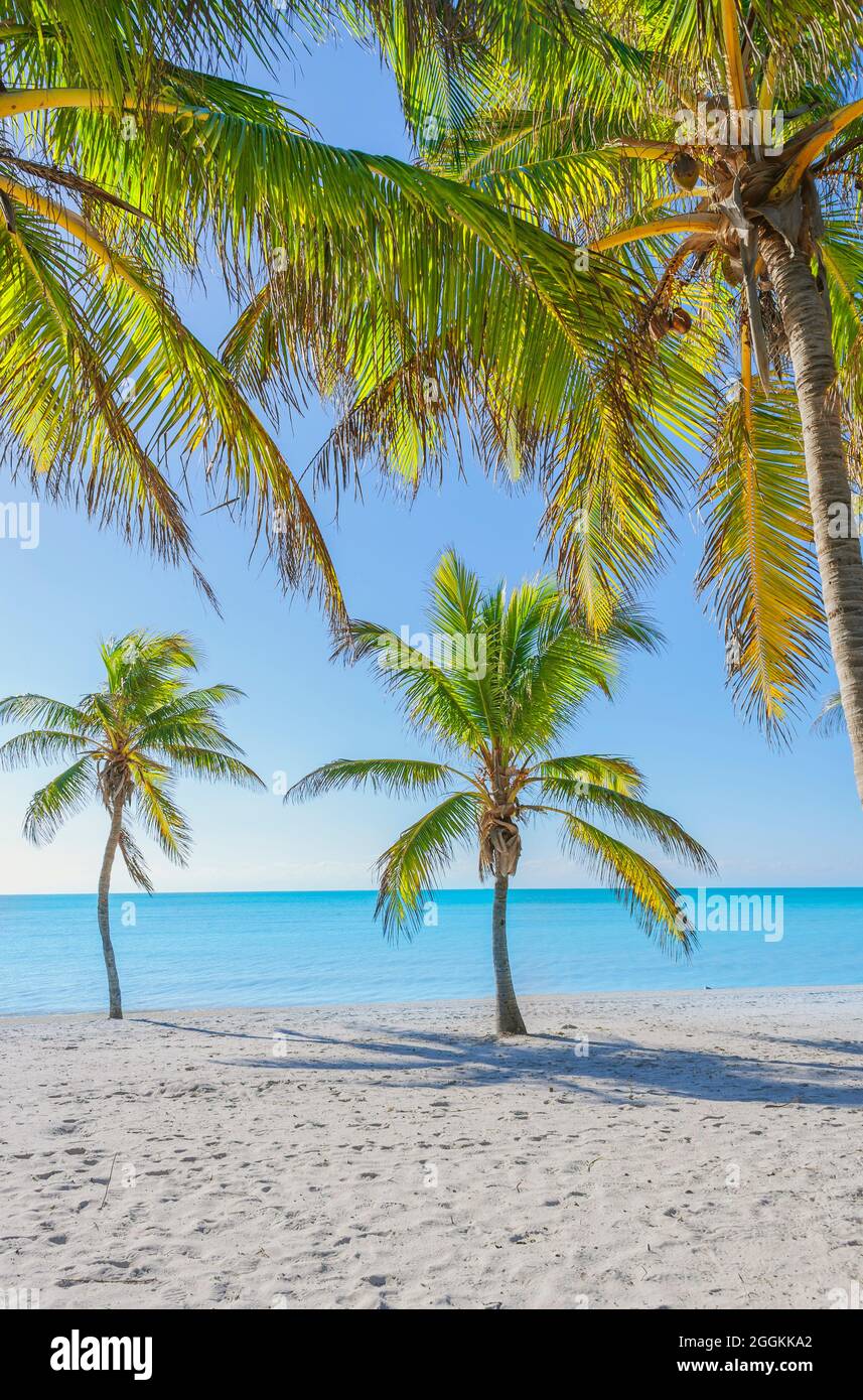 Smathers Beach, Key West, Florida, USA Stockfoto