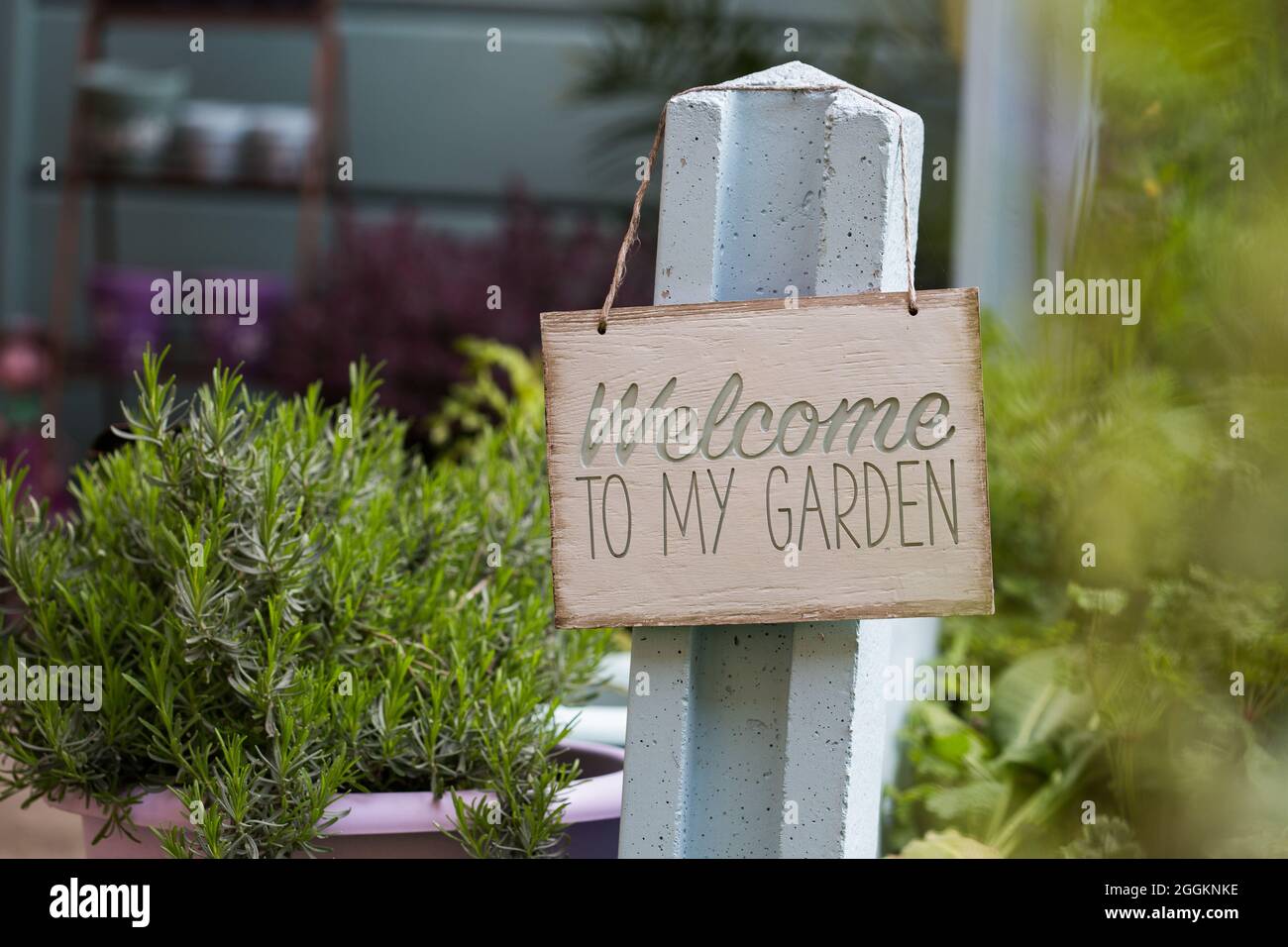 Holzschild, das den Garten begrüßt Stockfoto