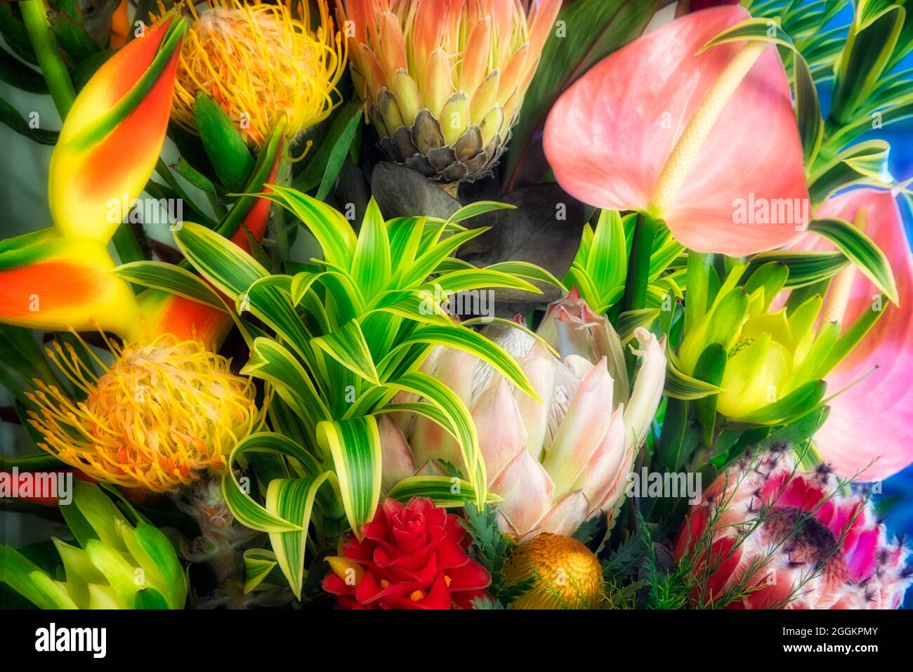 Anzeige der tropischen Blumen. Bukett von tropischen Blumen Maui, Hawaii Stockfoto