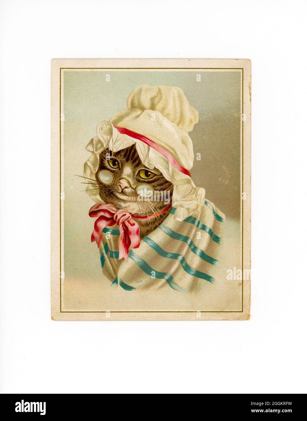 Vintage Cat Illustration Card, USA Stockfoto