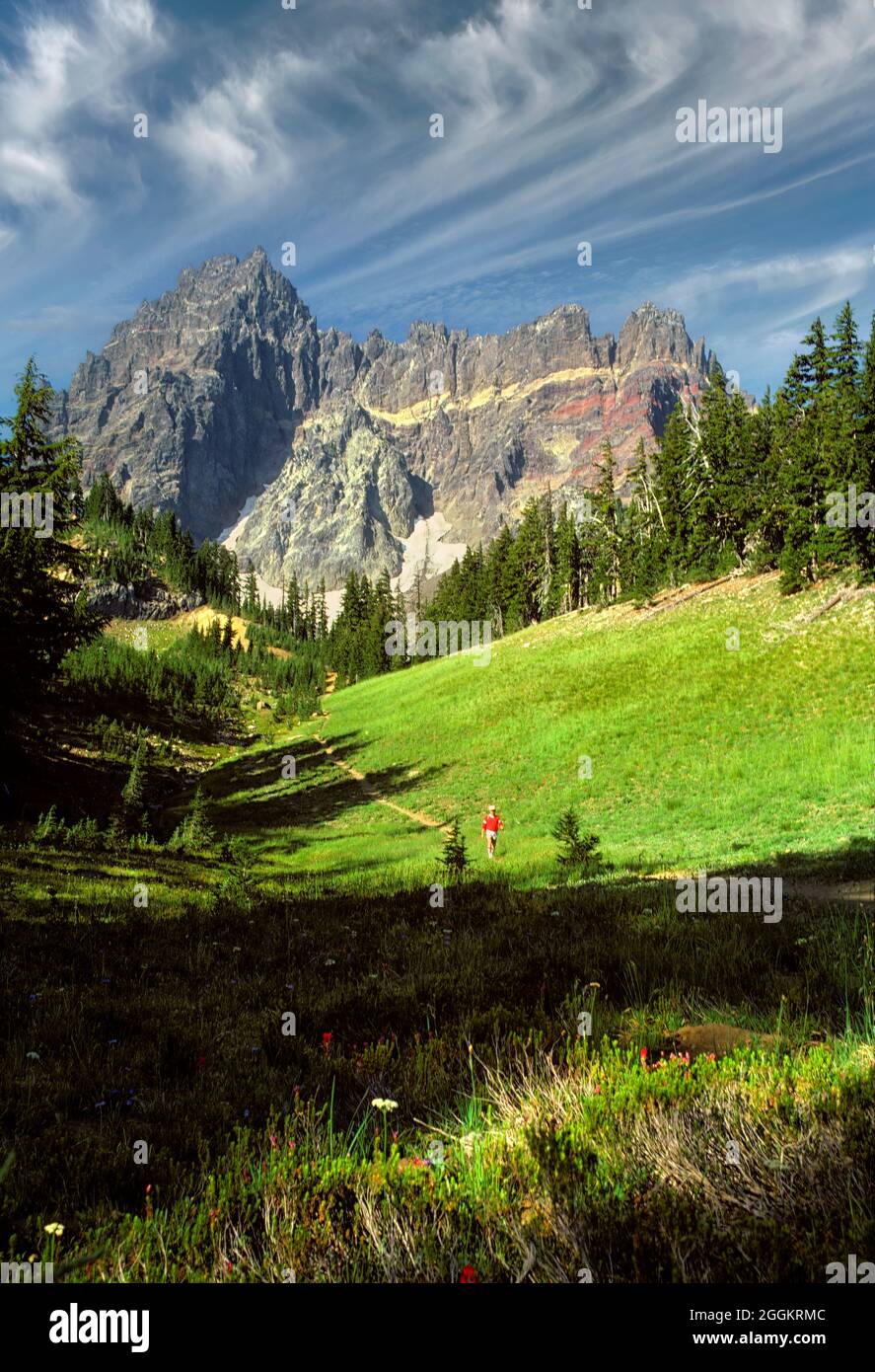 Wanderer am Fuße des Three Fingered Jack Mountain. Oregon. Stockfoto