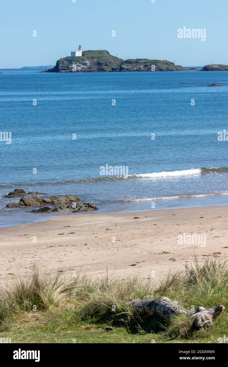 Fidra Leuchtturm und Insel vom Yellowcriag Strand aus gesehen, East Lothian. Stockfoto